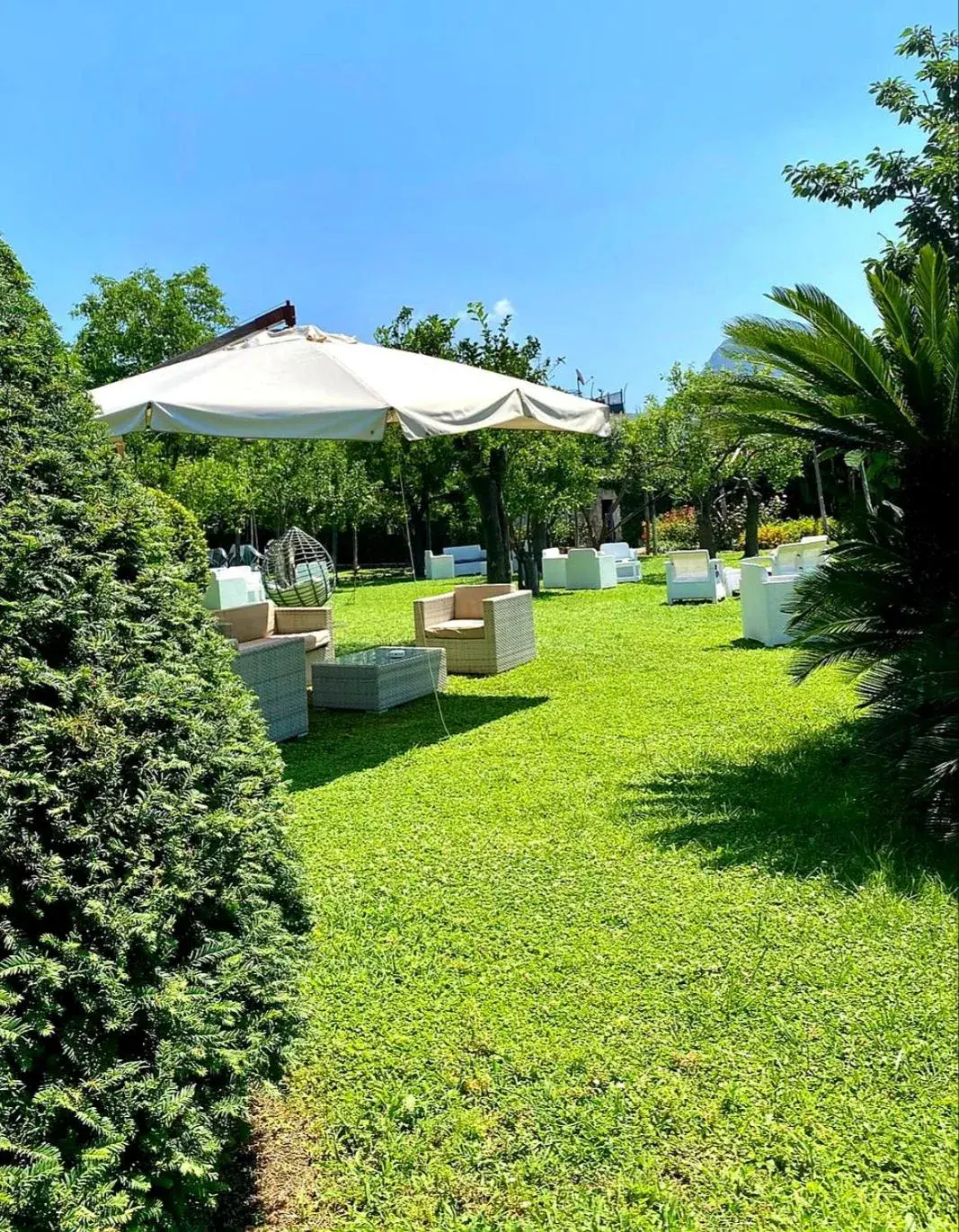 Patio, Garden in Hotel Alpha