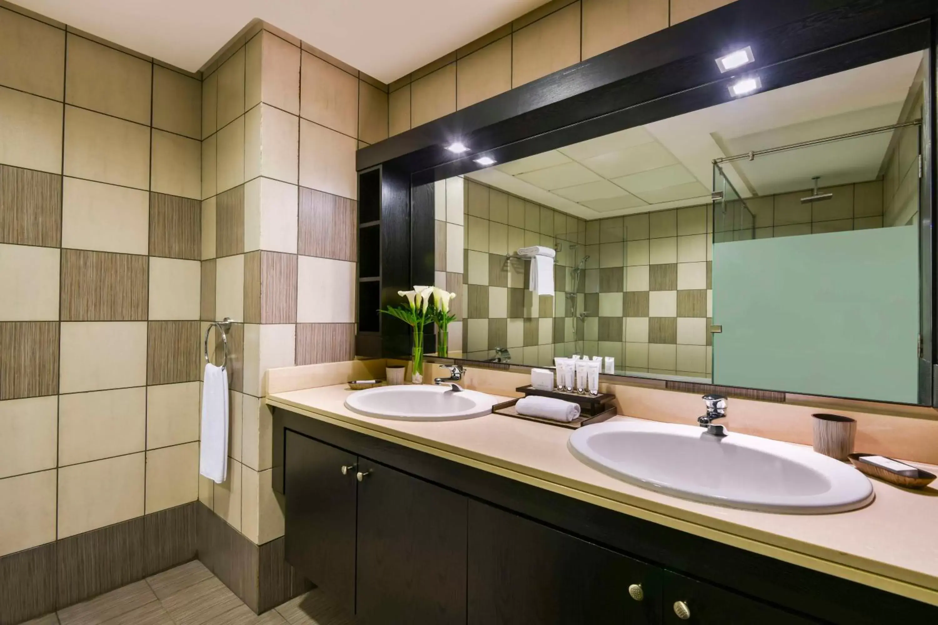 Photo of the whole room, Bathroom in Kempinski Residences & Suites, Doha