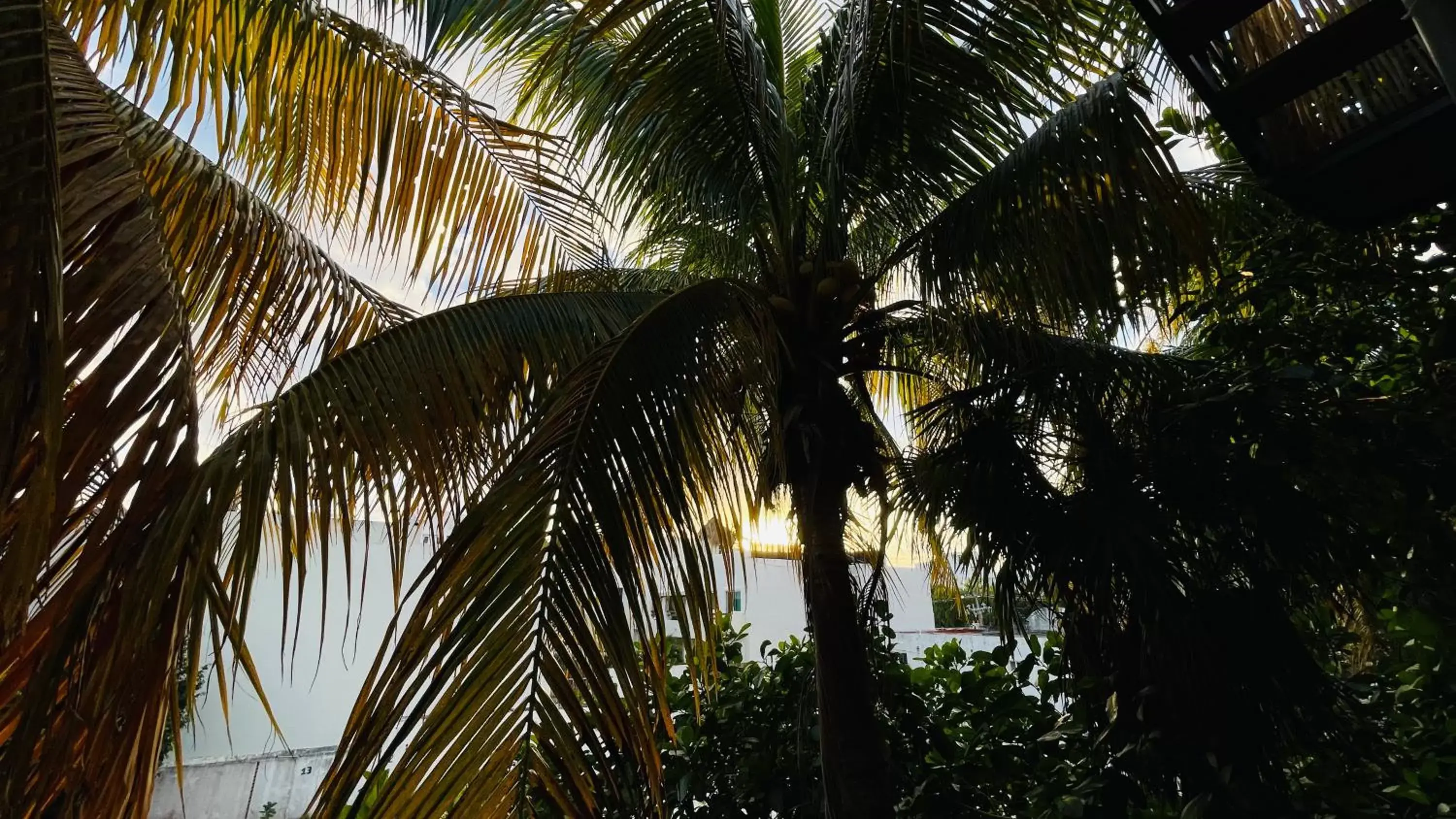 Natural landscape in Hotel B&B - 5th Avenue