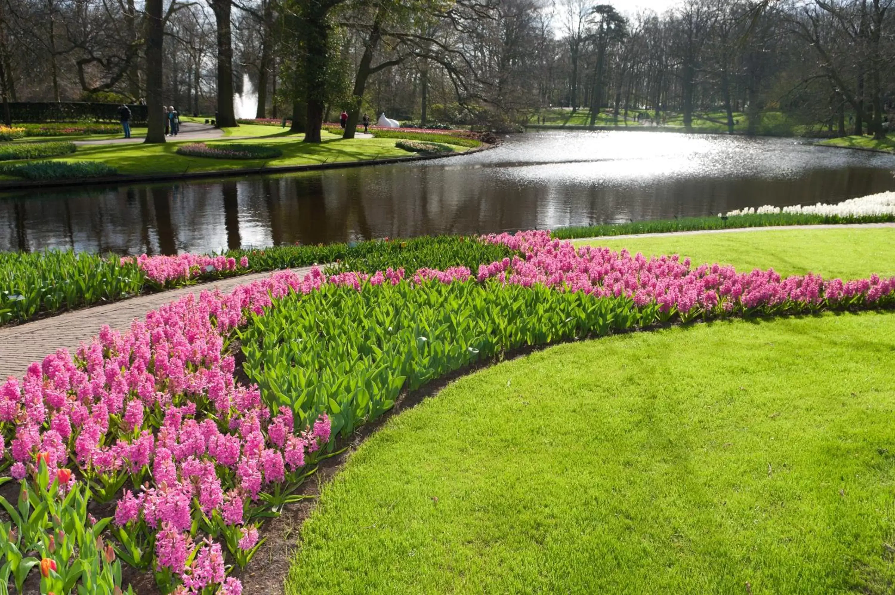 Area and facilities, Garden in Golden Tulip Leiden Centre