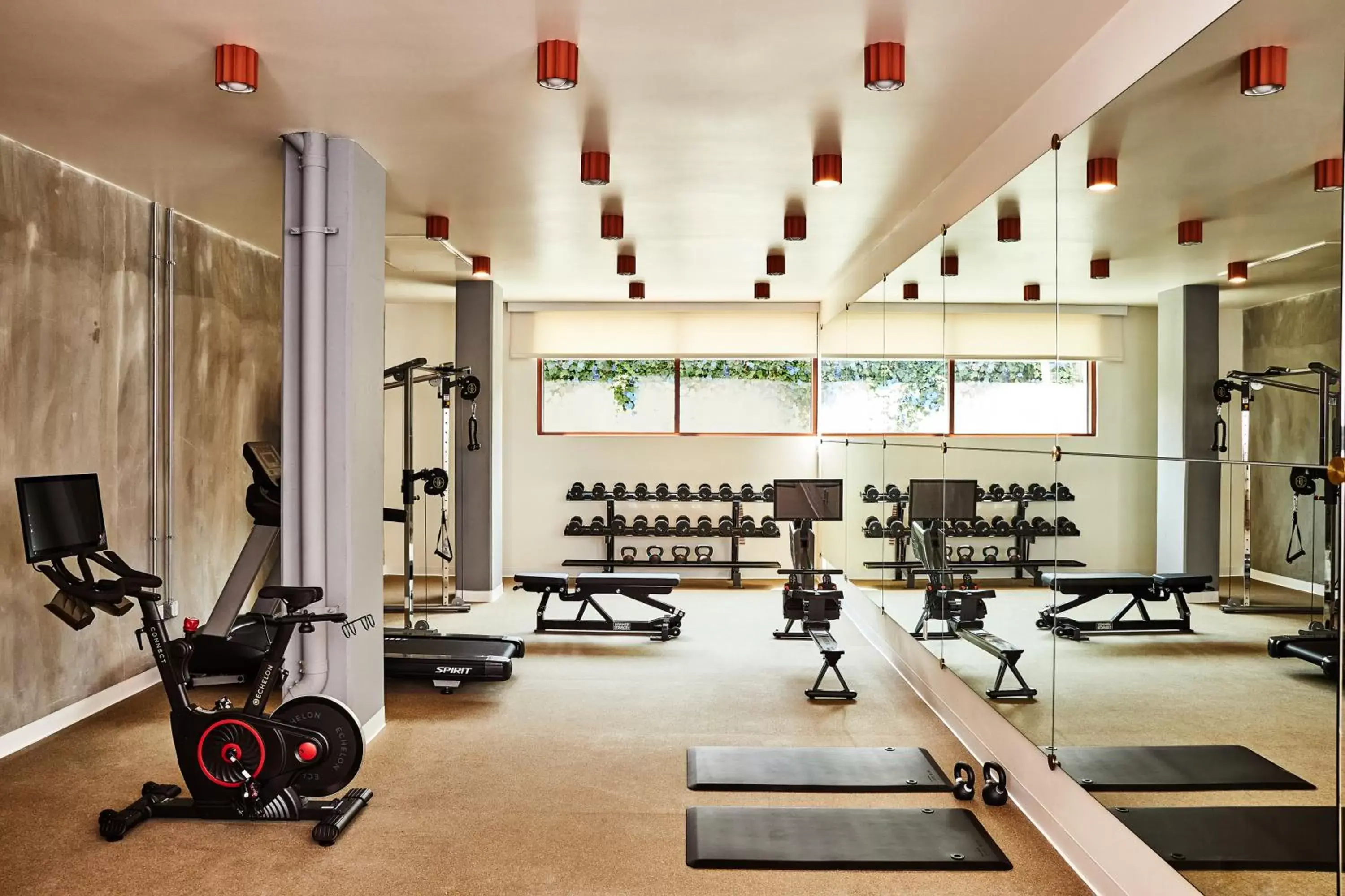 Fitness centre/facilities, Fitness Center/Facilities in Alsace LA