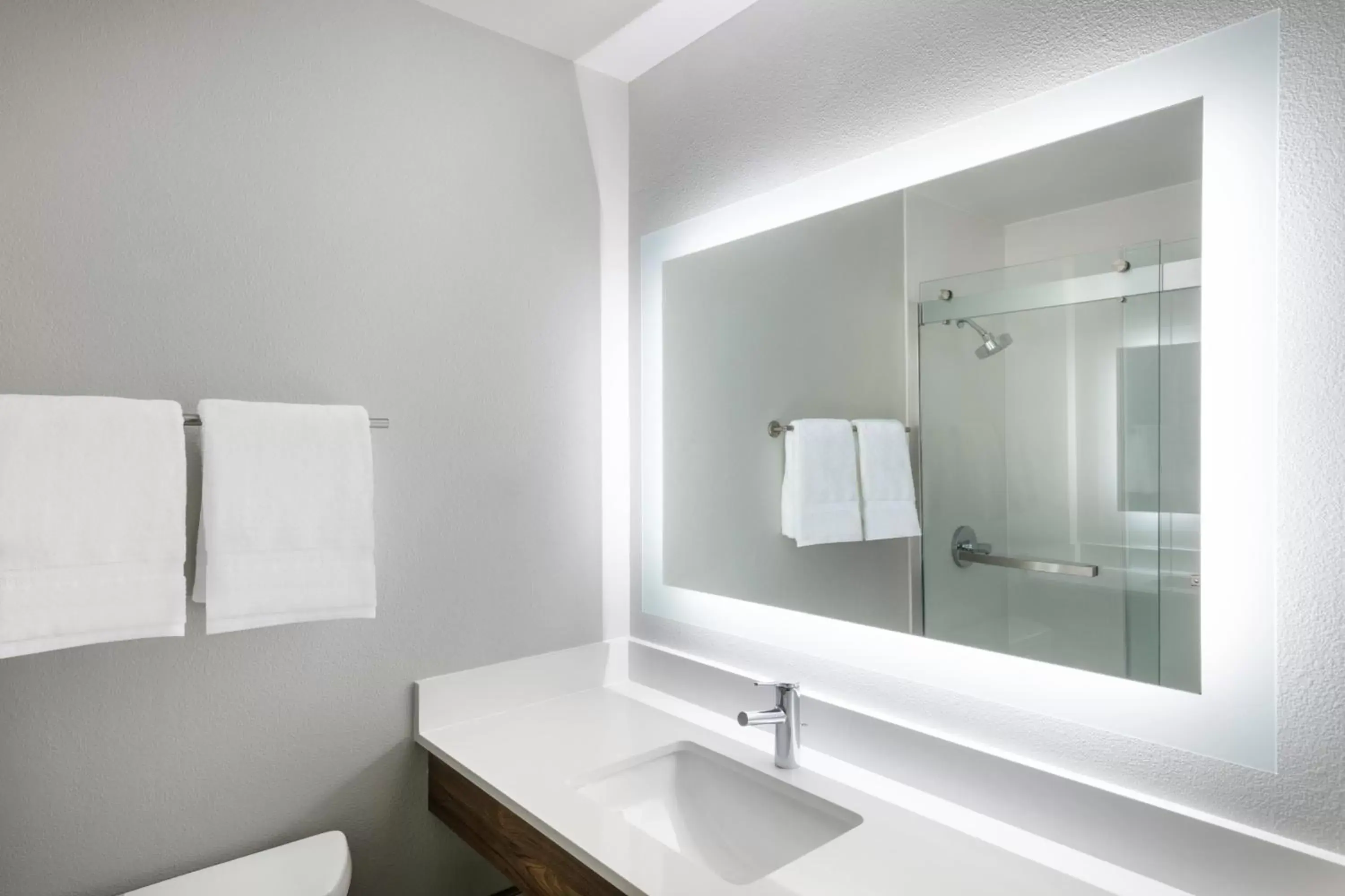 Bathroom in Holiday Inn Express & Suites Colorado Springs-Airport, an IHG Hotel