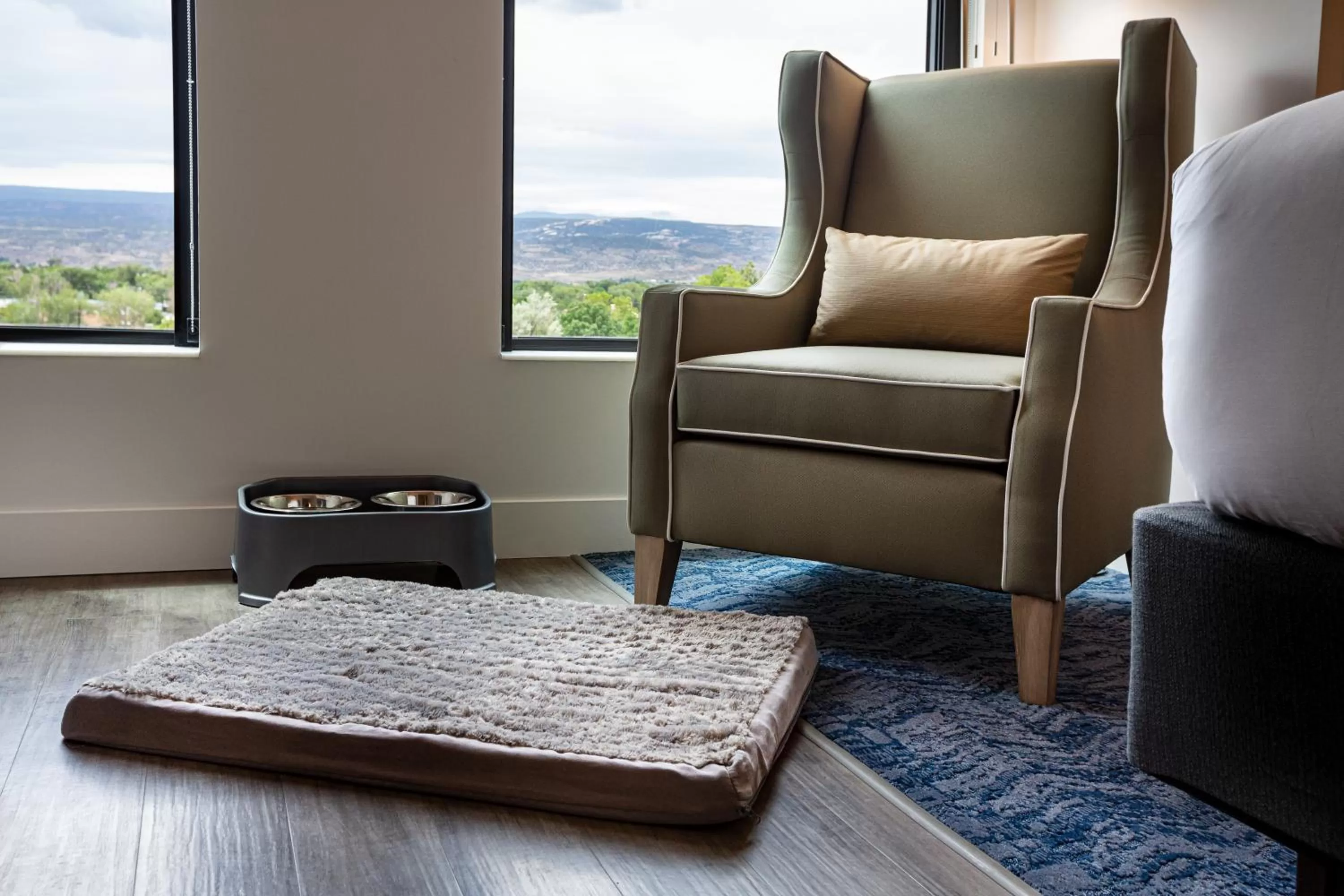 Pets in Hotel Maverick