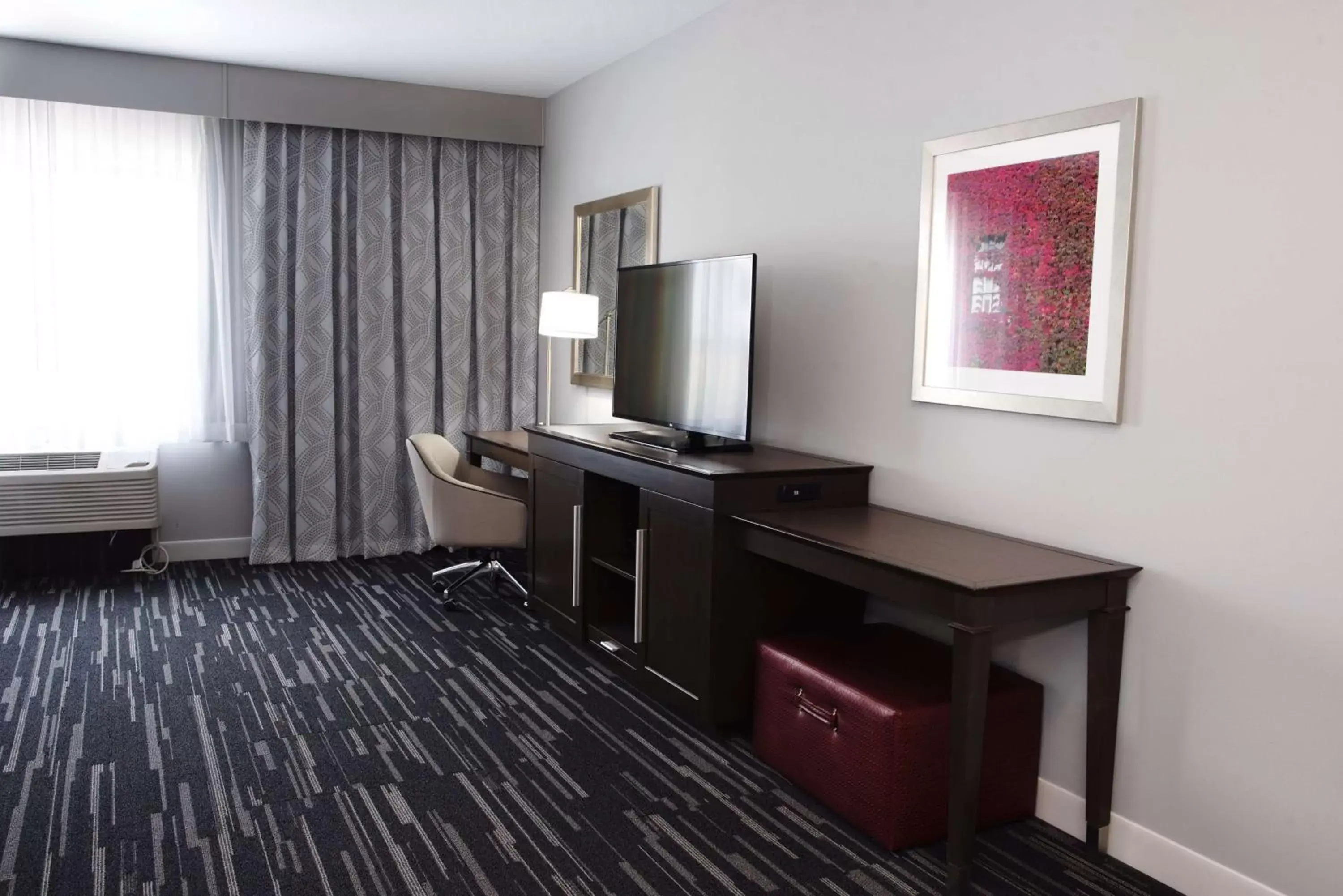 Bedroom, TV/Entertainment Center in Hampton Inn By Hilton - Suites Des Moines-Urbandale IA