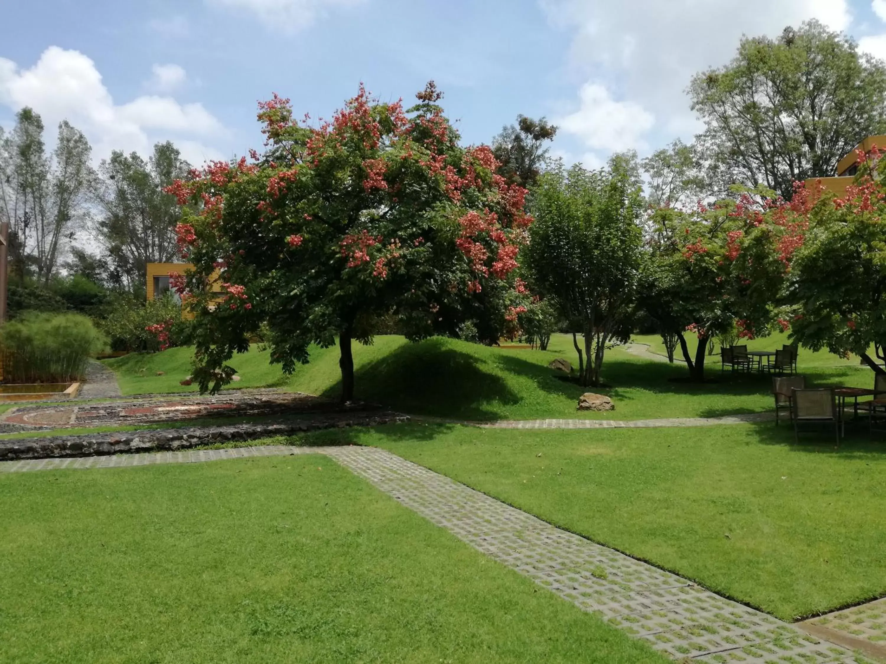 Garden in Hotel Casa en el Campo