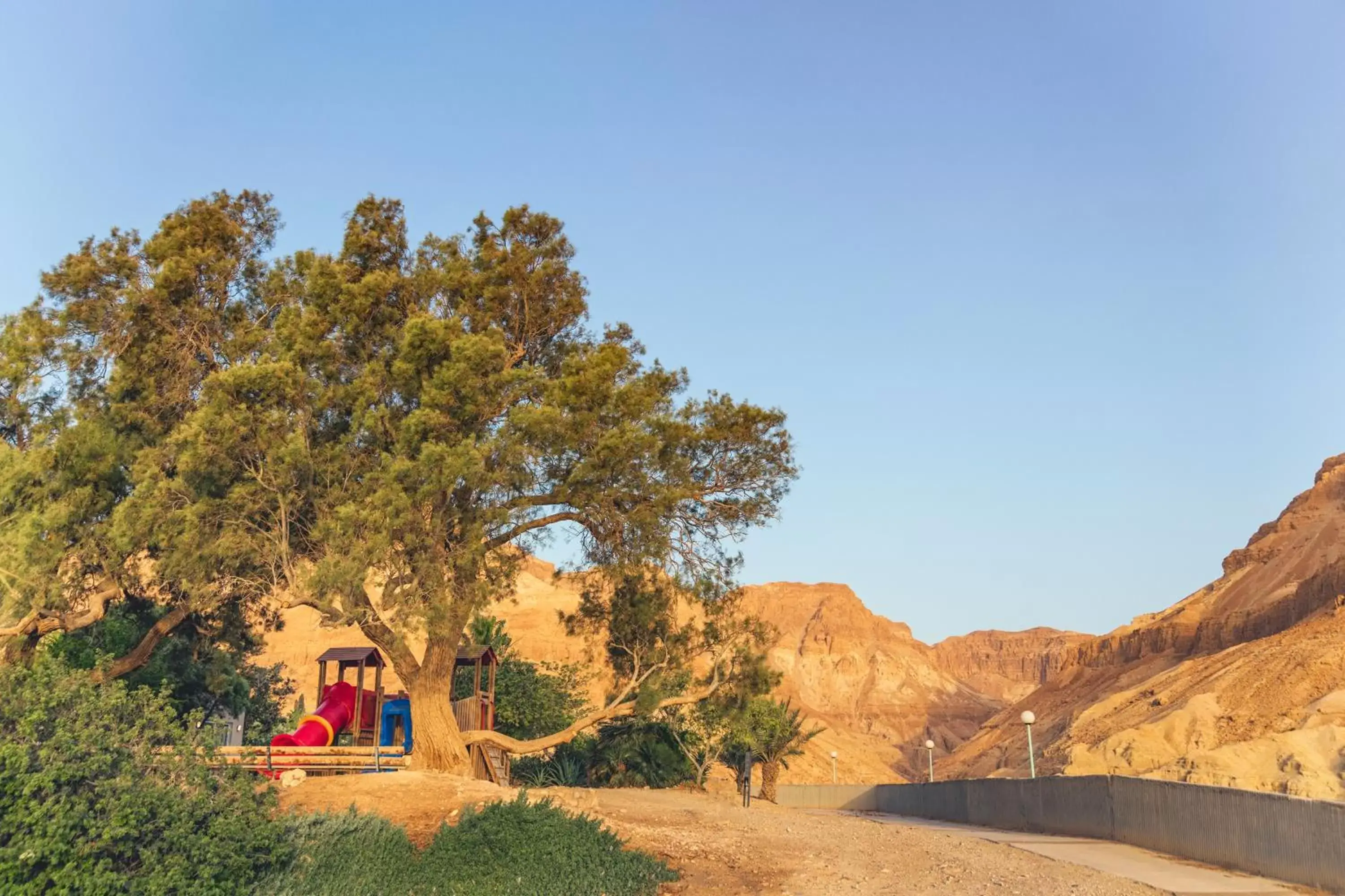 Kids's club in Ein Gedi Kibbutz Hotel