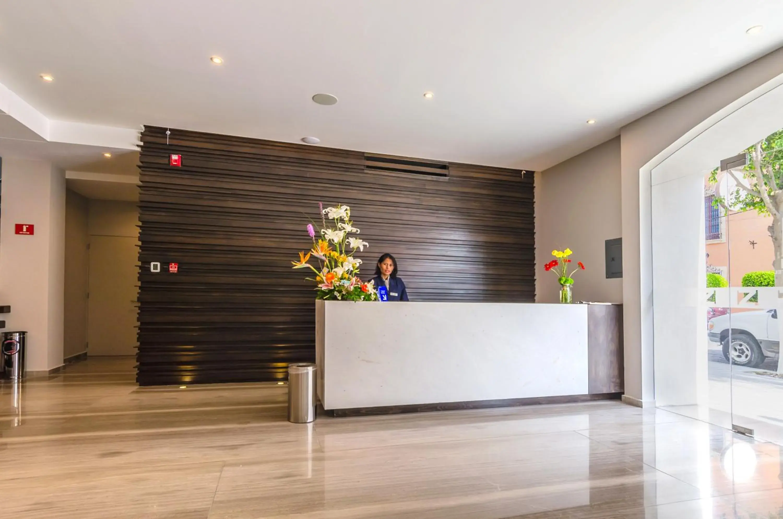 Lobby or reception, Lobby/Reception in Hotel Zenith