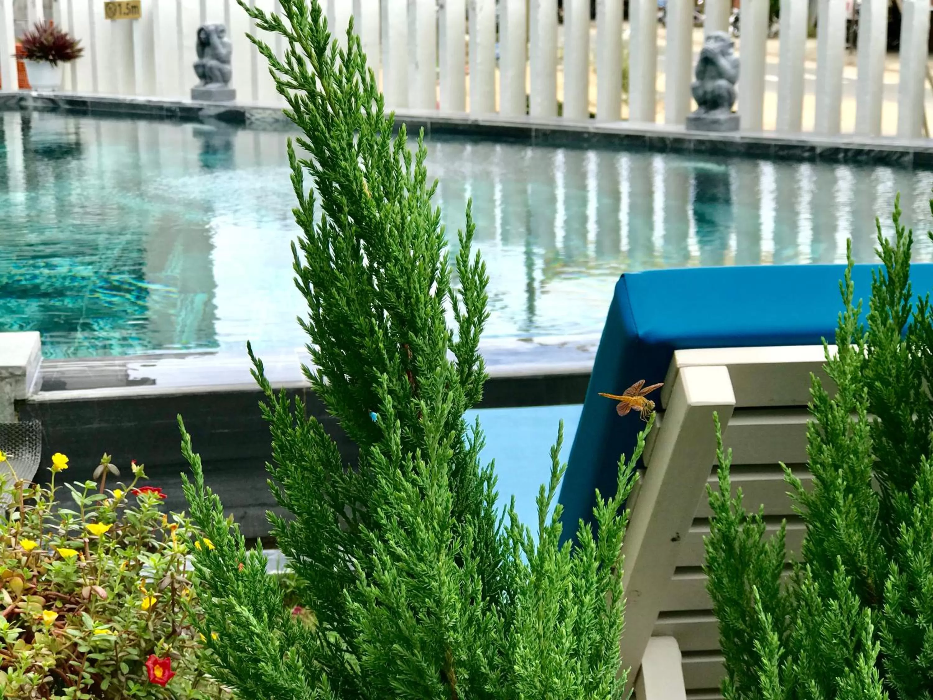 Swimming pool in Santa Sea Villa