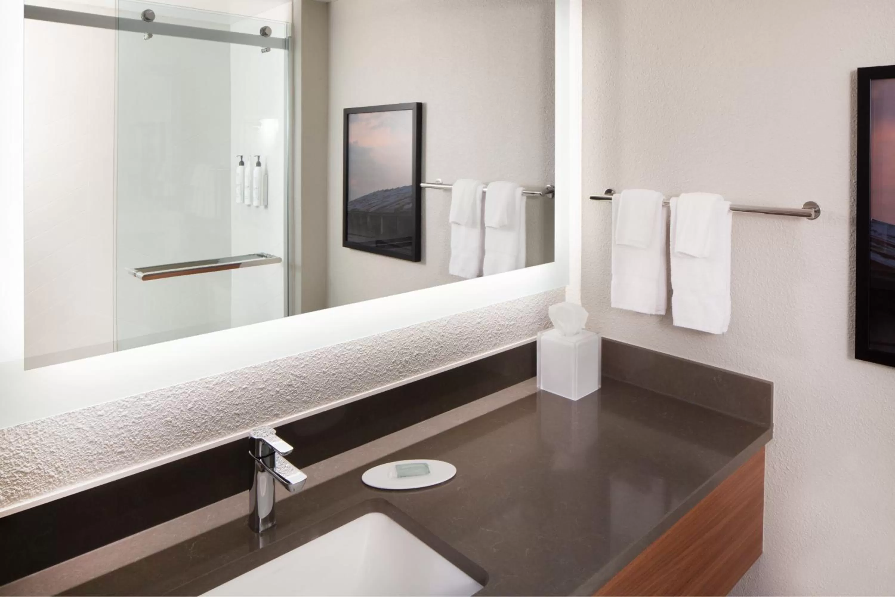 Bathroom in Fairfield Inn & Suites by Marriott Charleston