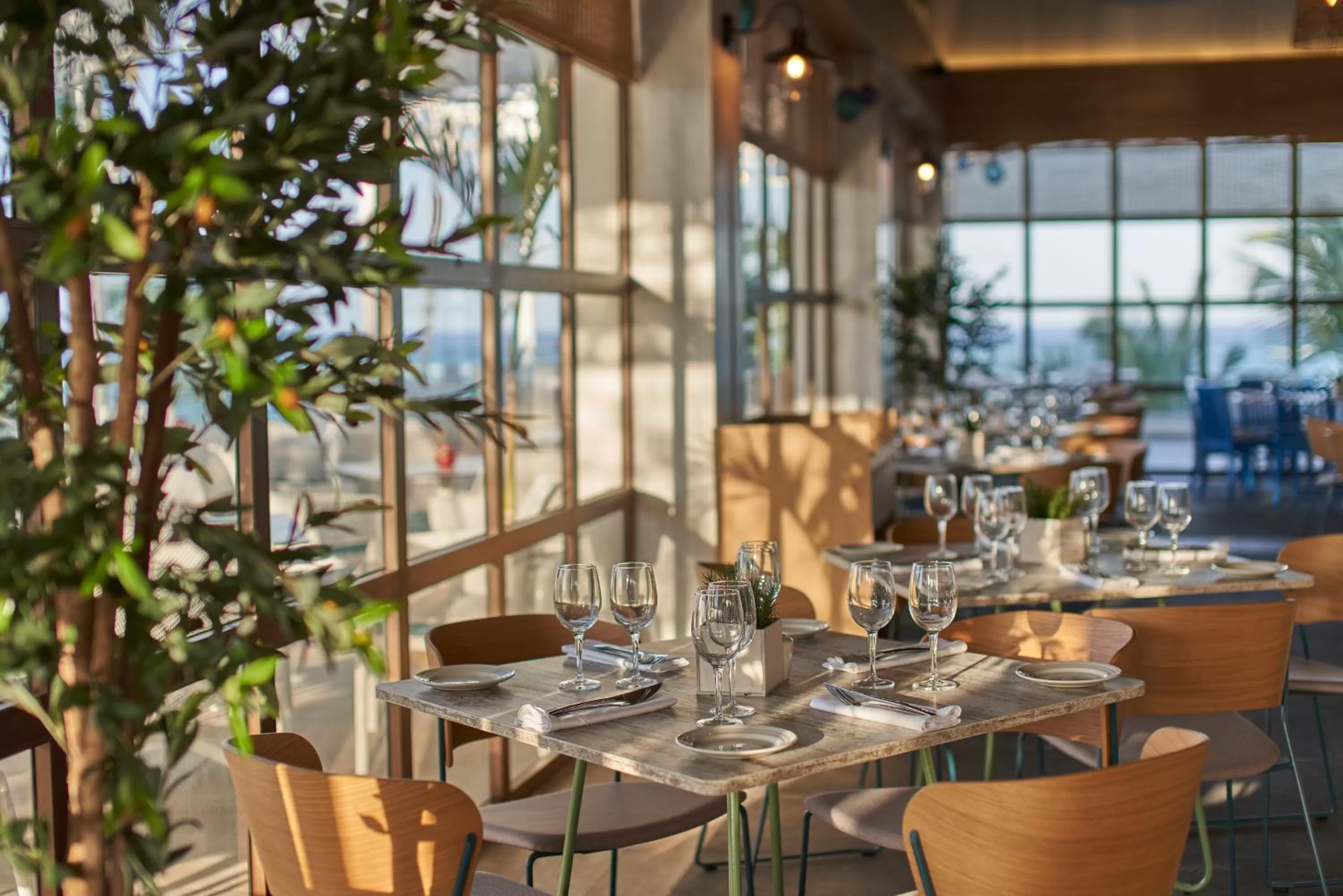 Restaurant/places to eat in Bahia Principe Grand Aquamarine - Adults Only All Inclusive