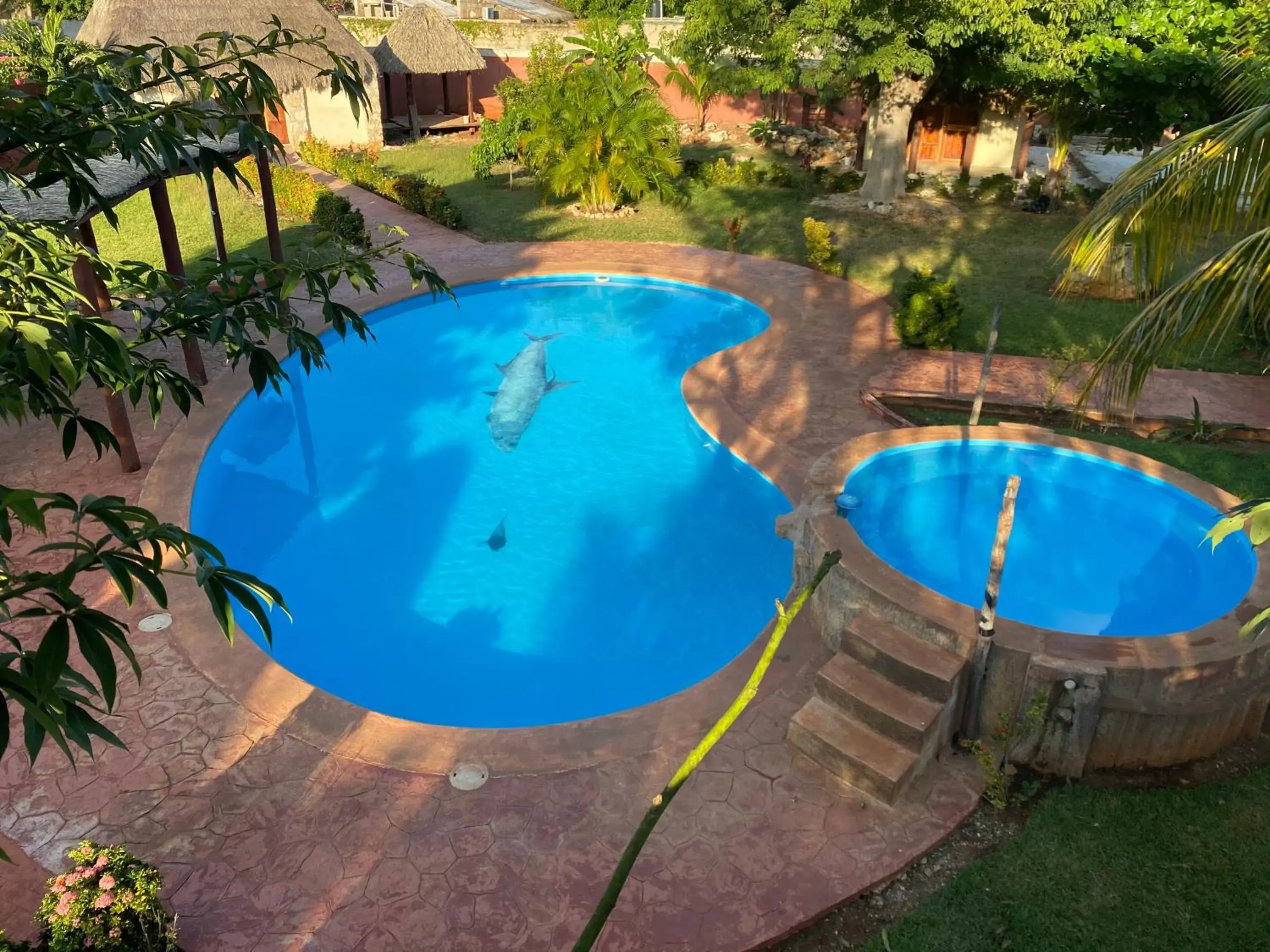 Swimming pool, Pool View in Mangrove King Fishing Lodge
