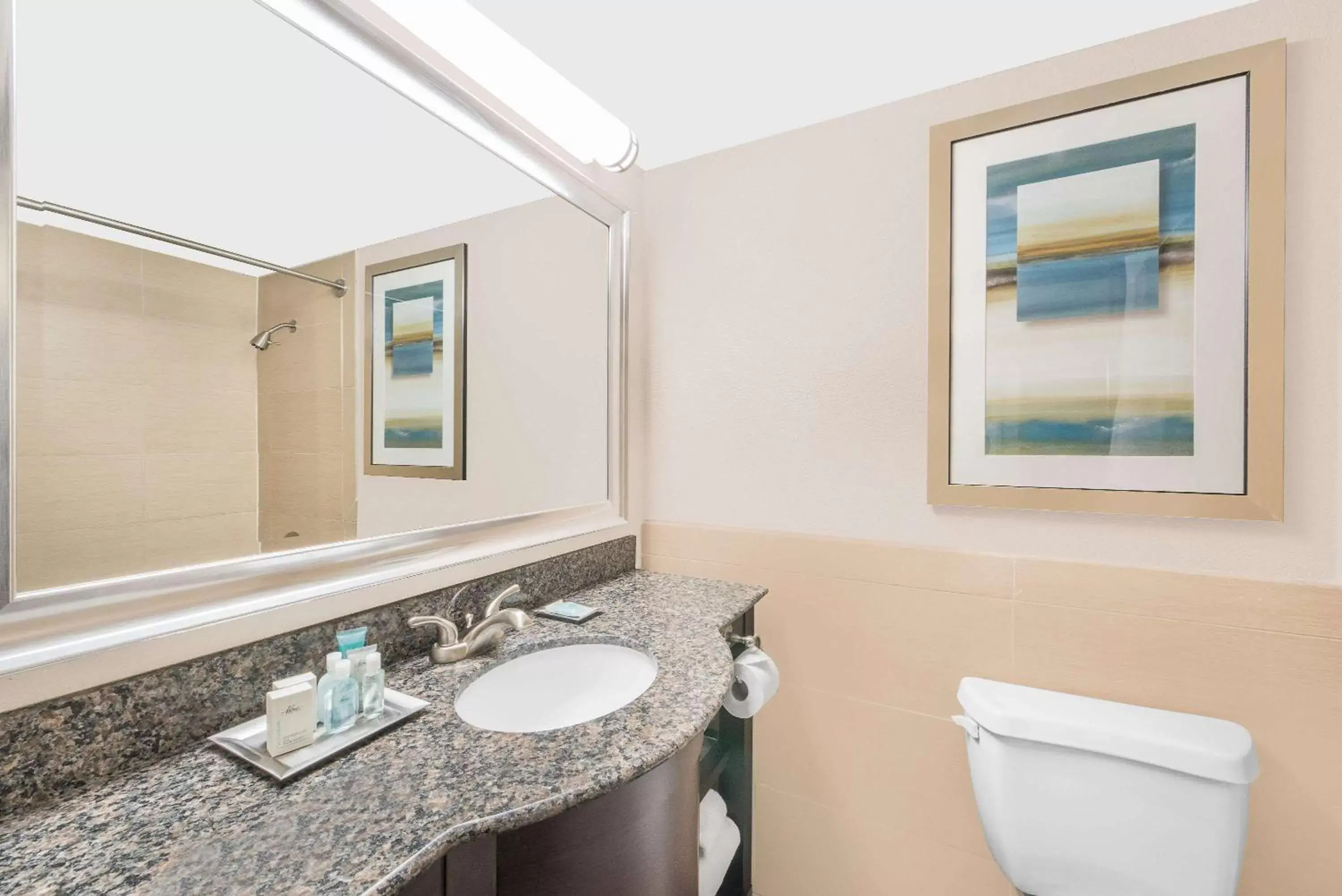 Bathroom in Wyndham Garden Midland