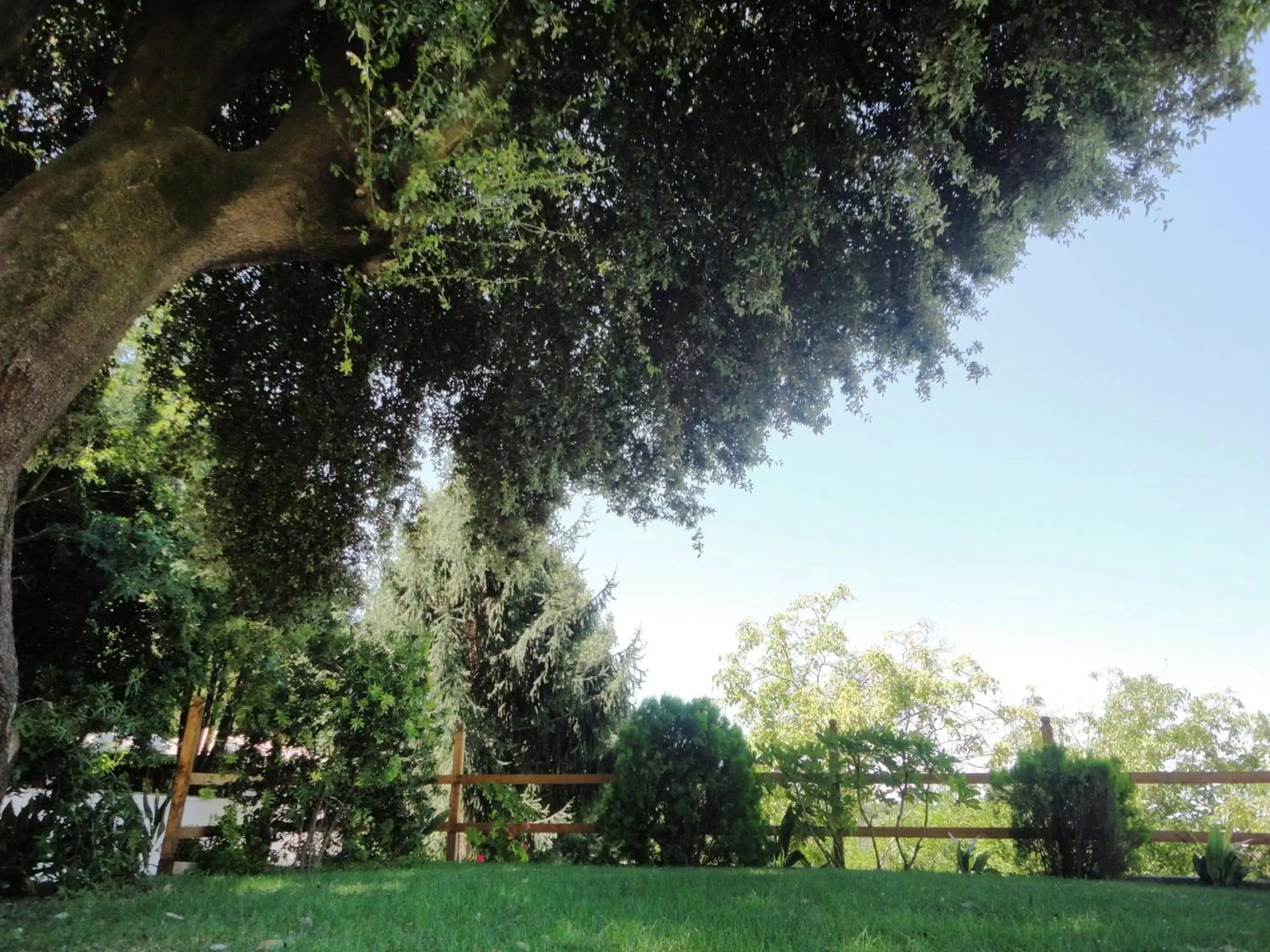 Facade/entrance, Garden in Villa Altieri