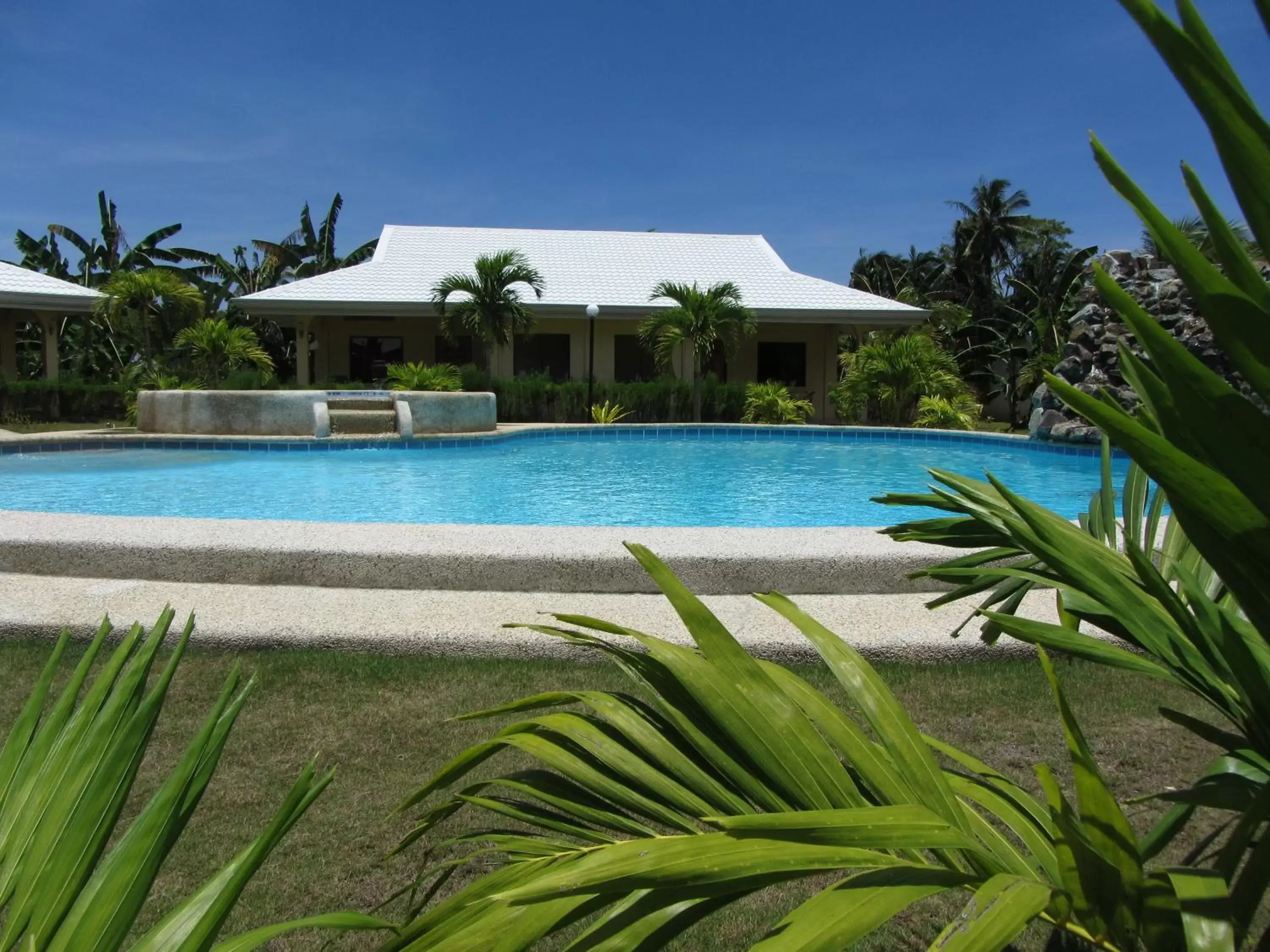 Garden, Swimming Pool in Bohol Sunside Resort