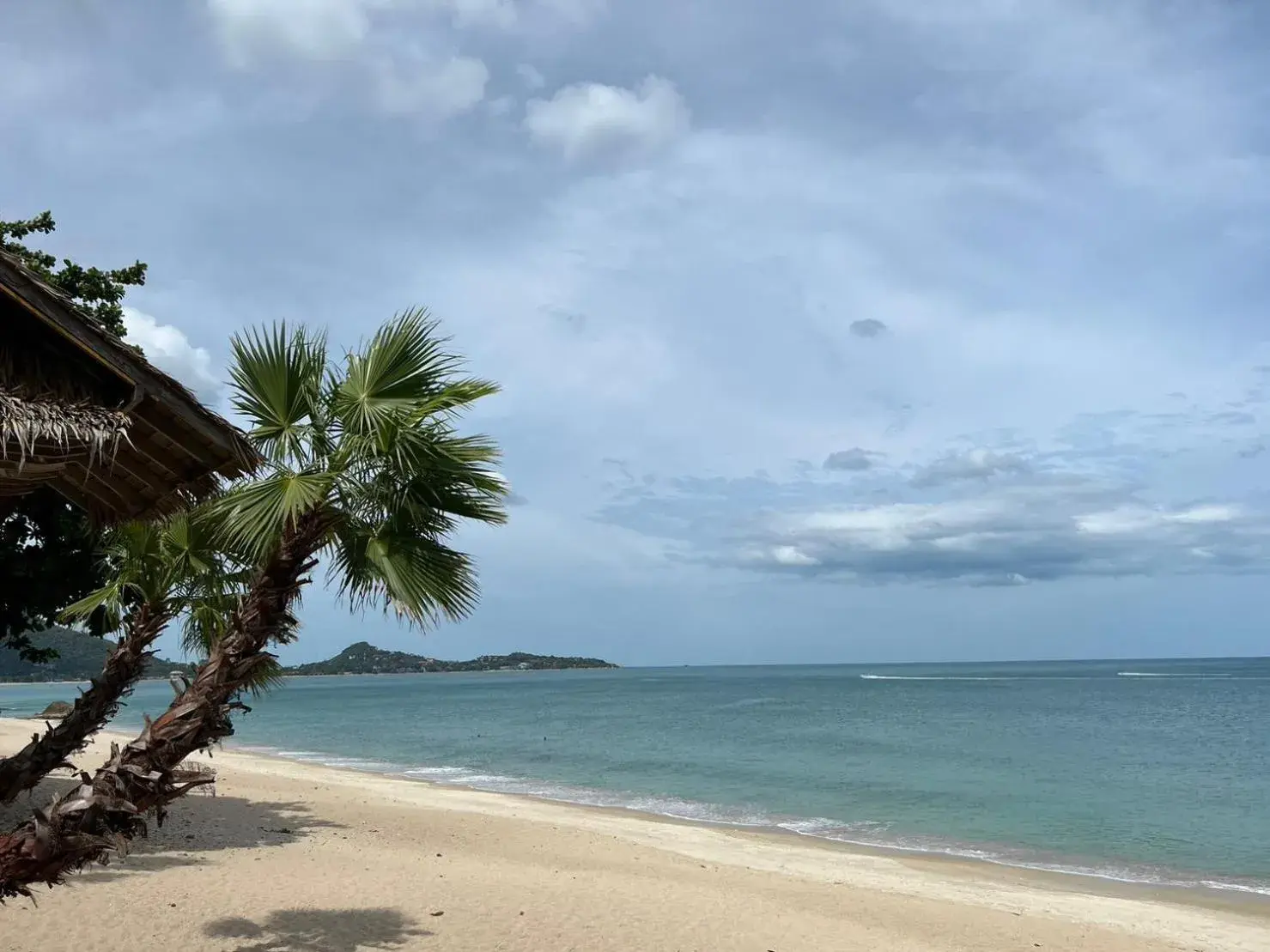 Property building, Beach in Amity resort & Beach cafe