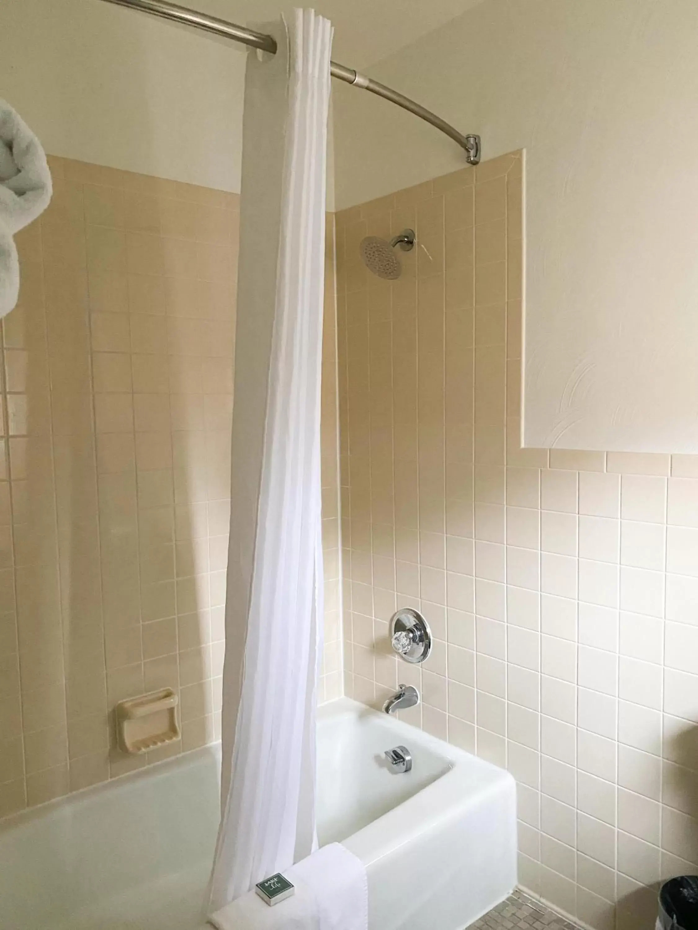 Shower, Bathroom in The River Hills Motel