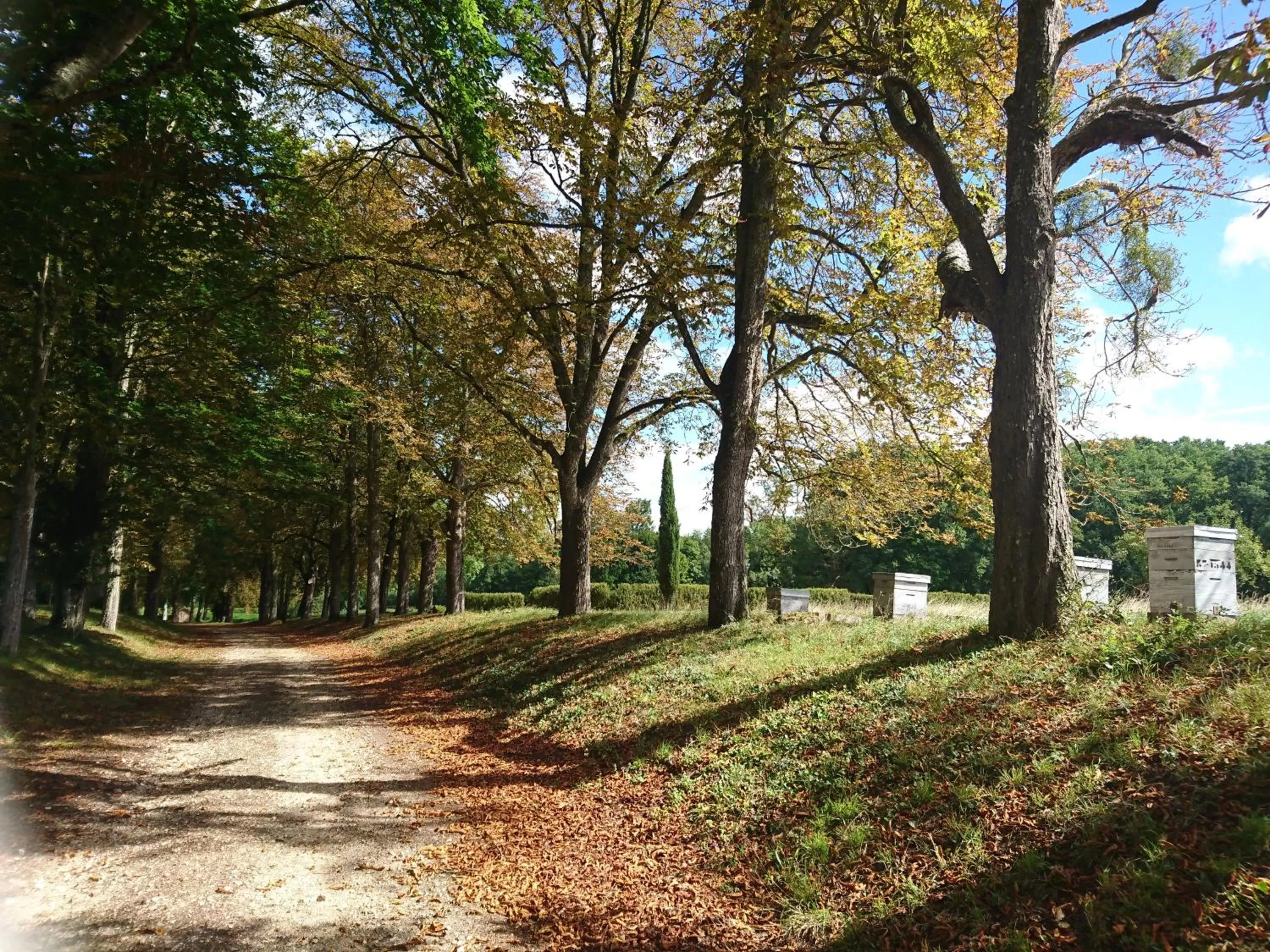 Natural landscape, Garden in Manoir de la Rémonière