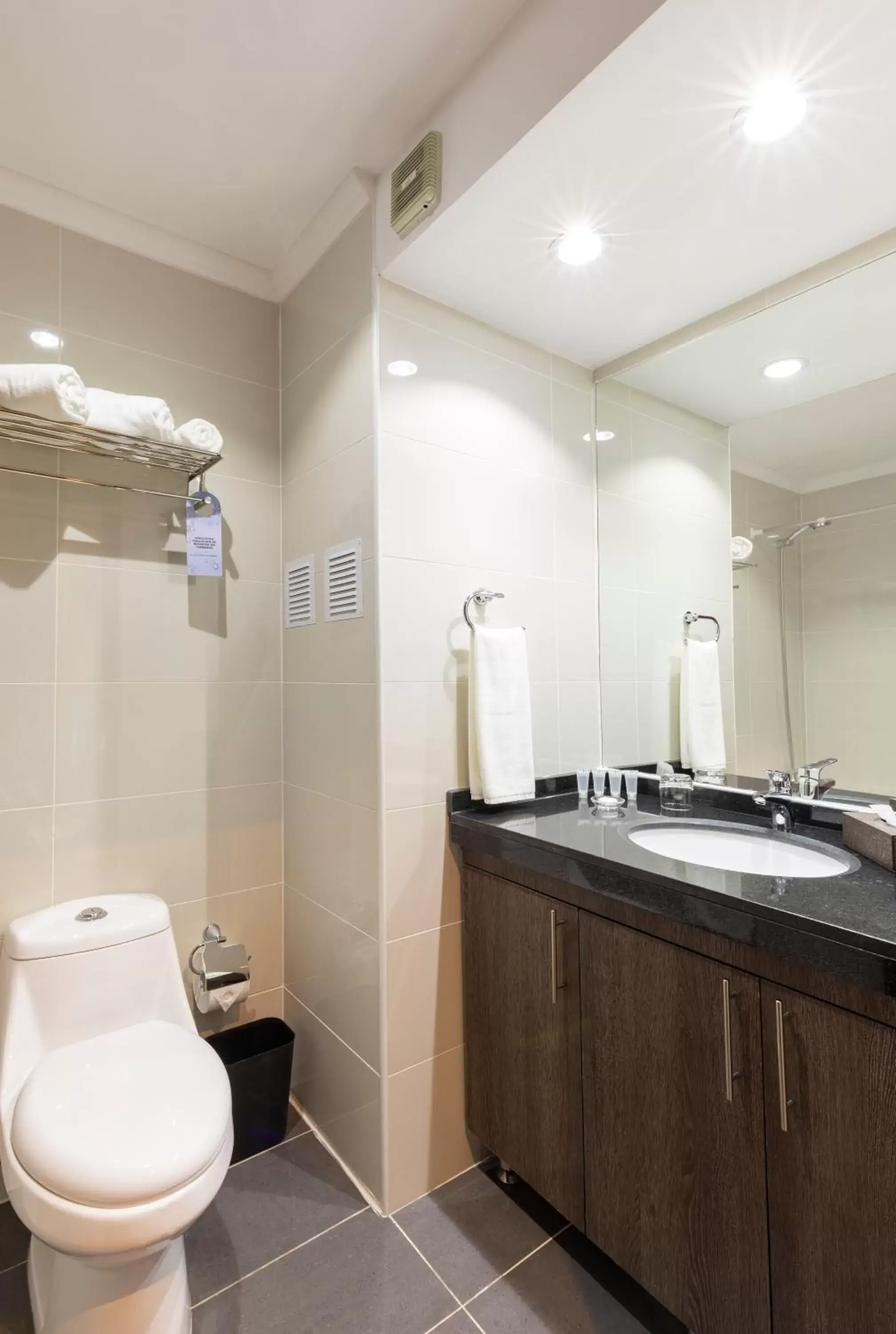 Shower, Bathroom in Best Western Estacion Central