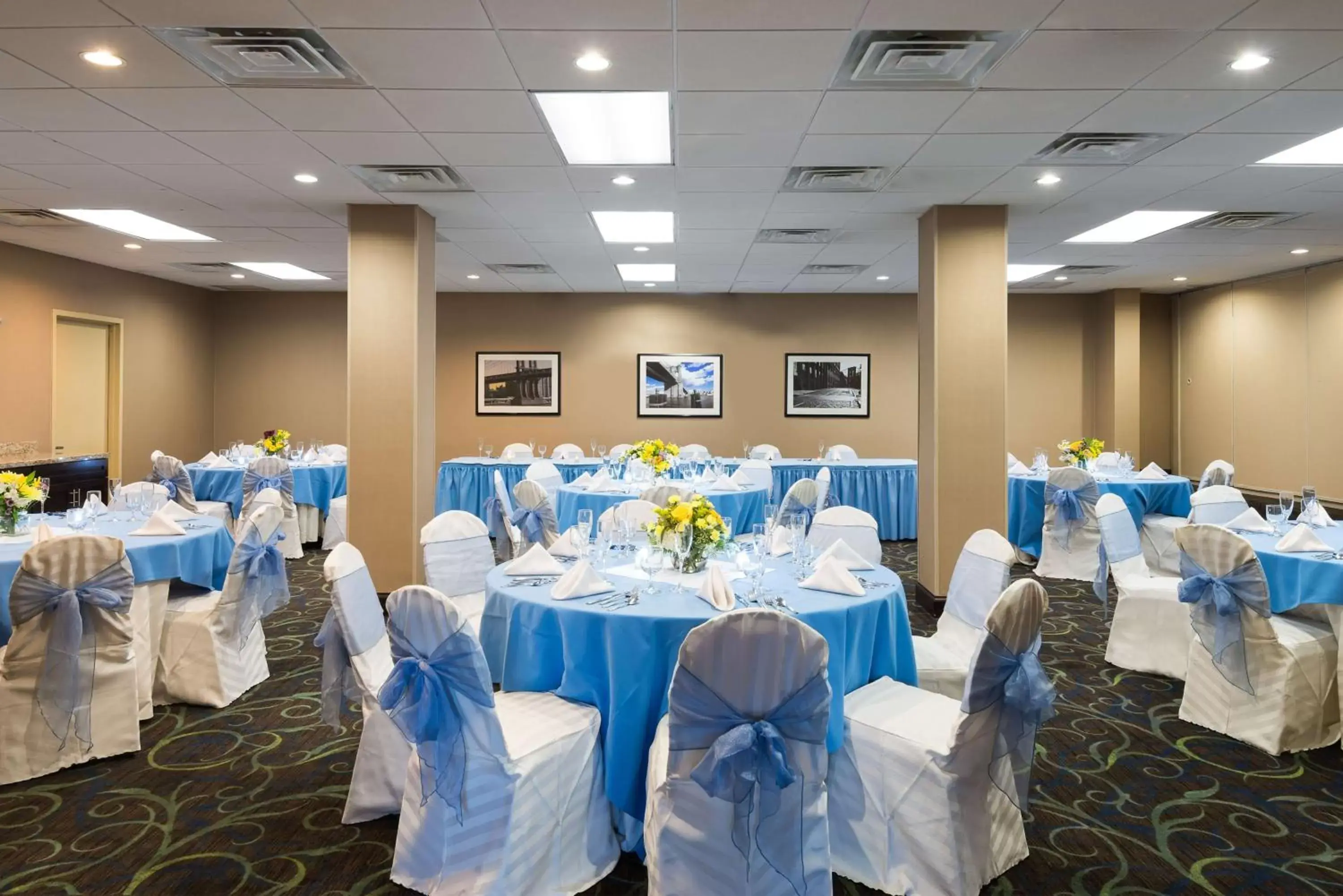 Meeting/conference room, Banquet Facilities in Hampton Inn White Plains/Tarrytown