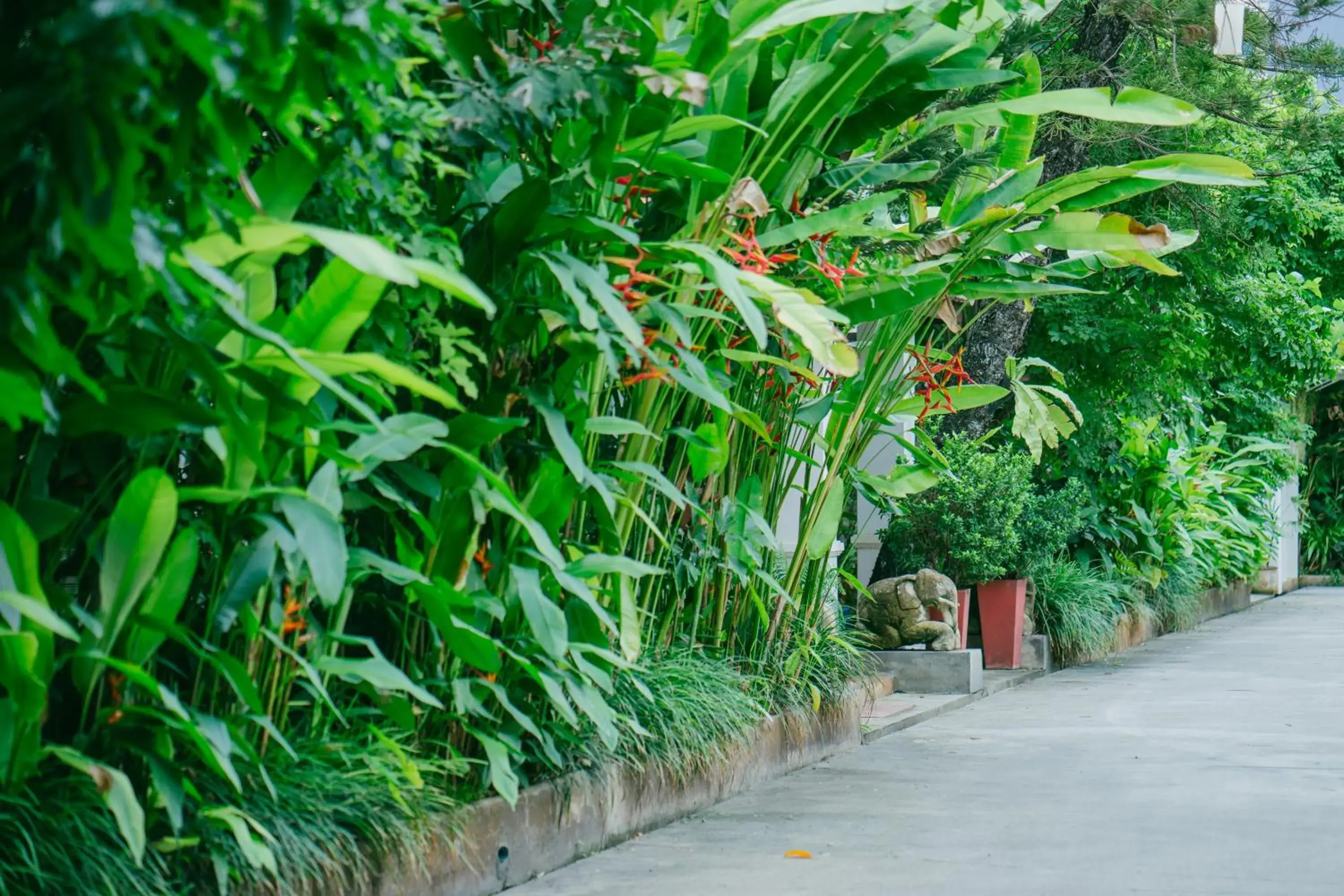 Garden in The Odyssey Chiang Mai