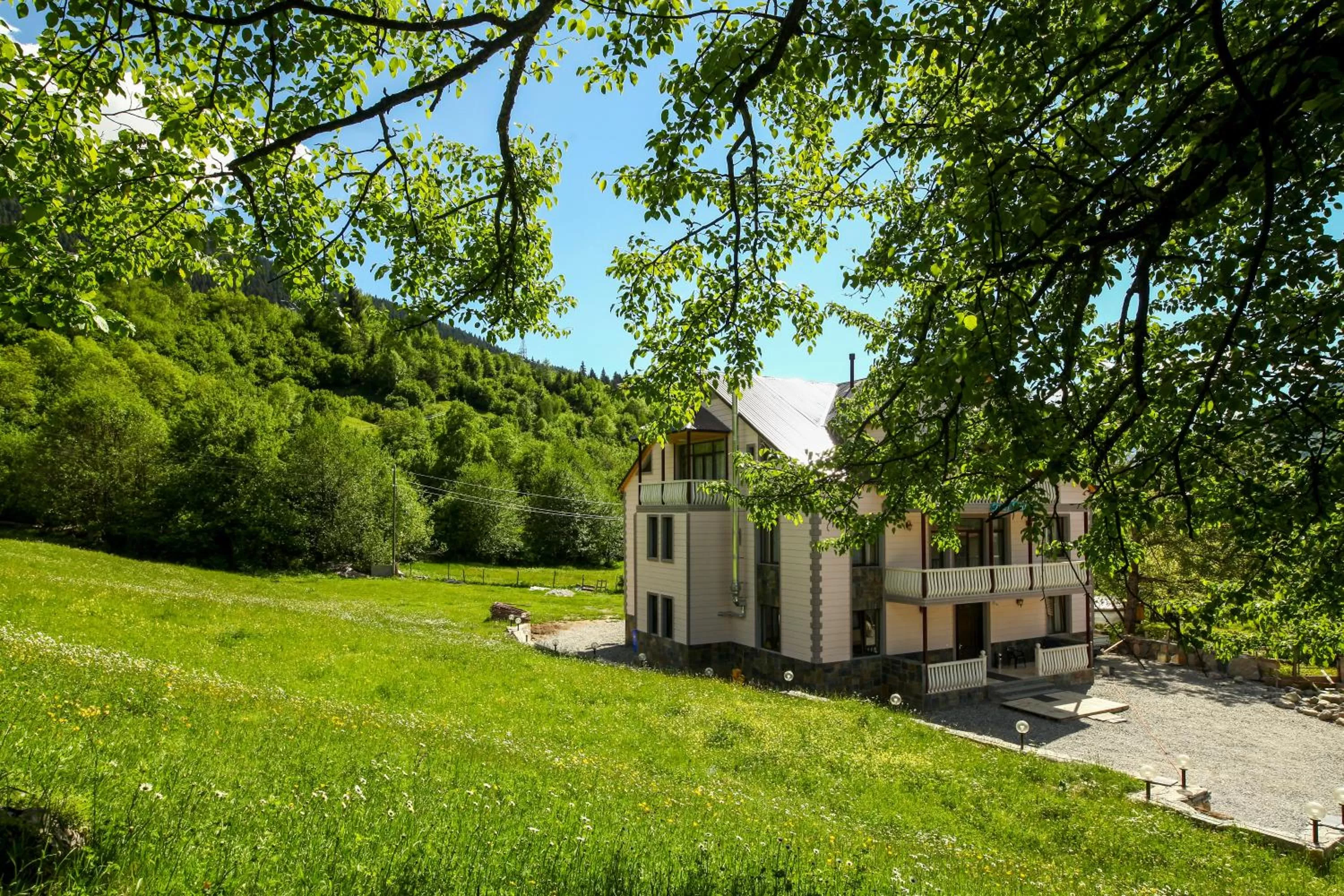 Garden in Hotel Patriot