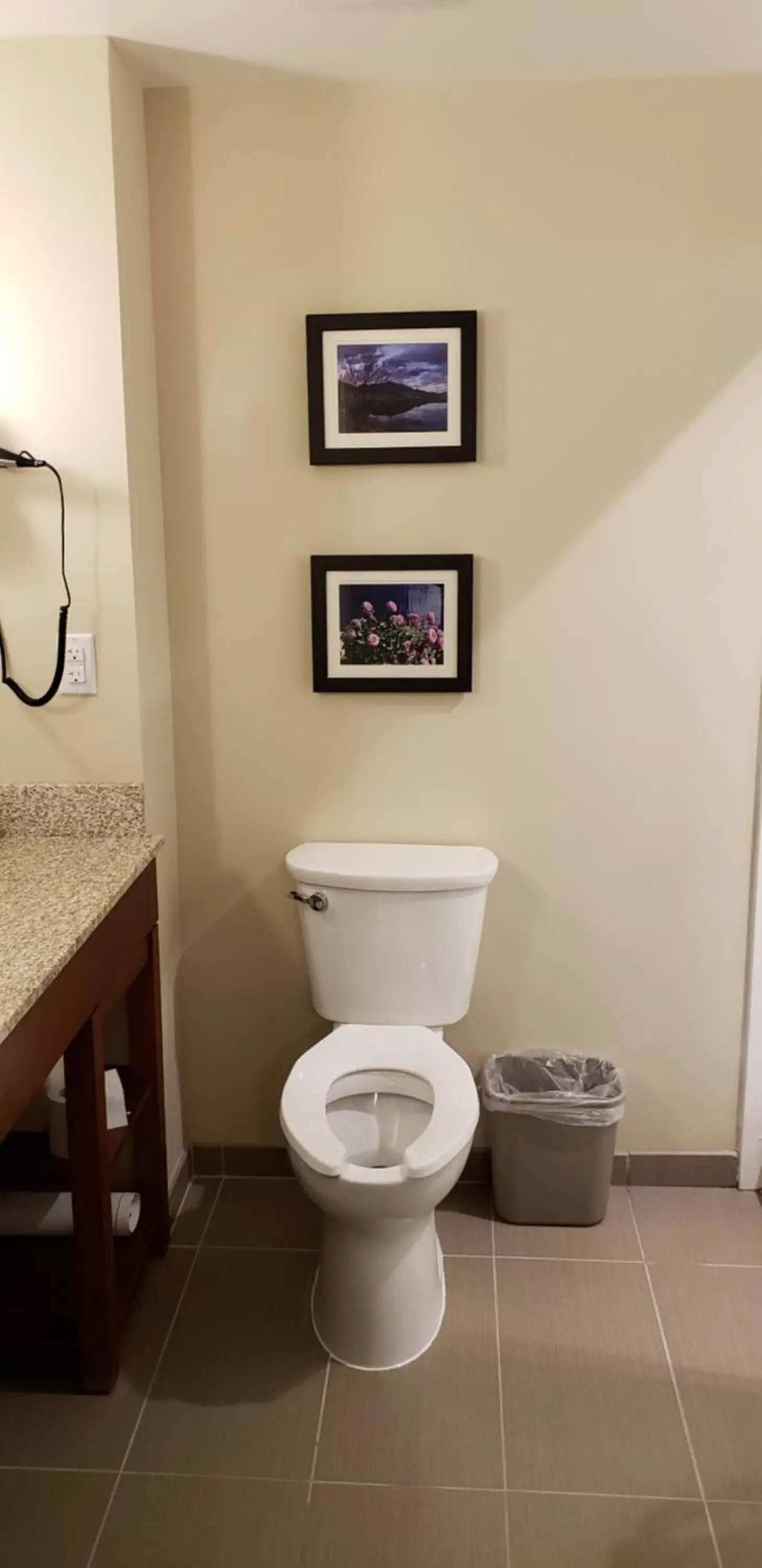 Toilet, Bathroom in Comfort Suites Denver near Anschutz Medical Campus