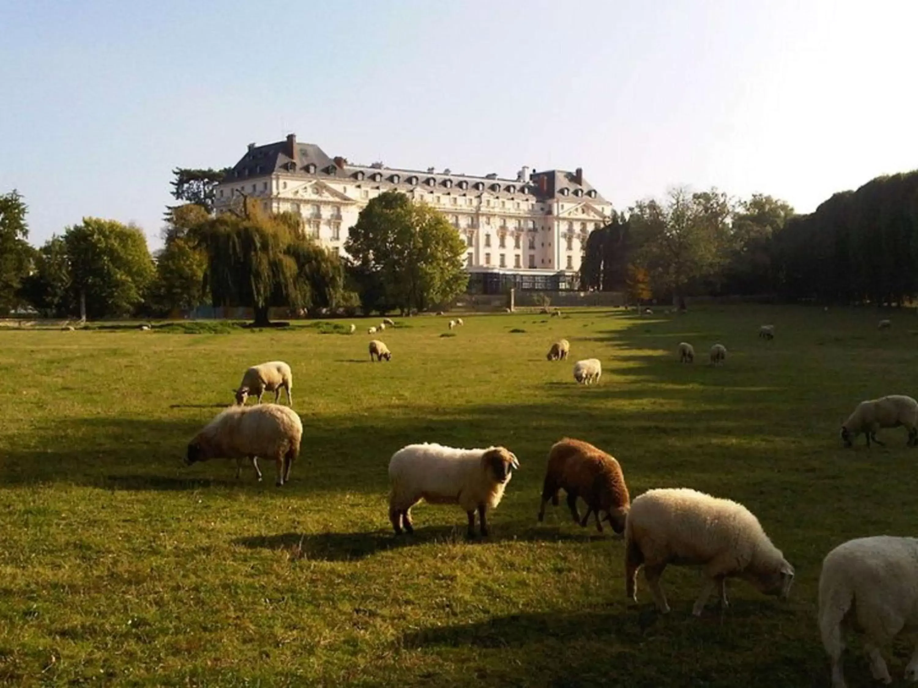 Property building, Other Animals in Waldorf Astoria Versailles - Trianon Palace