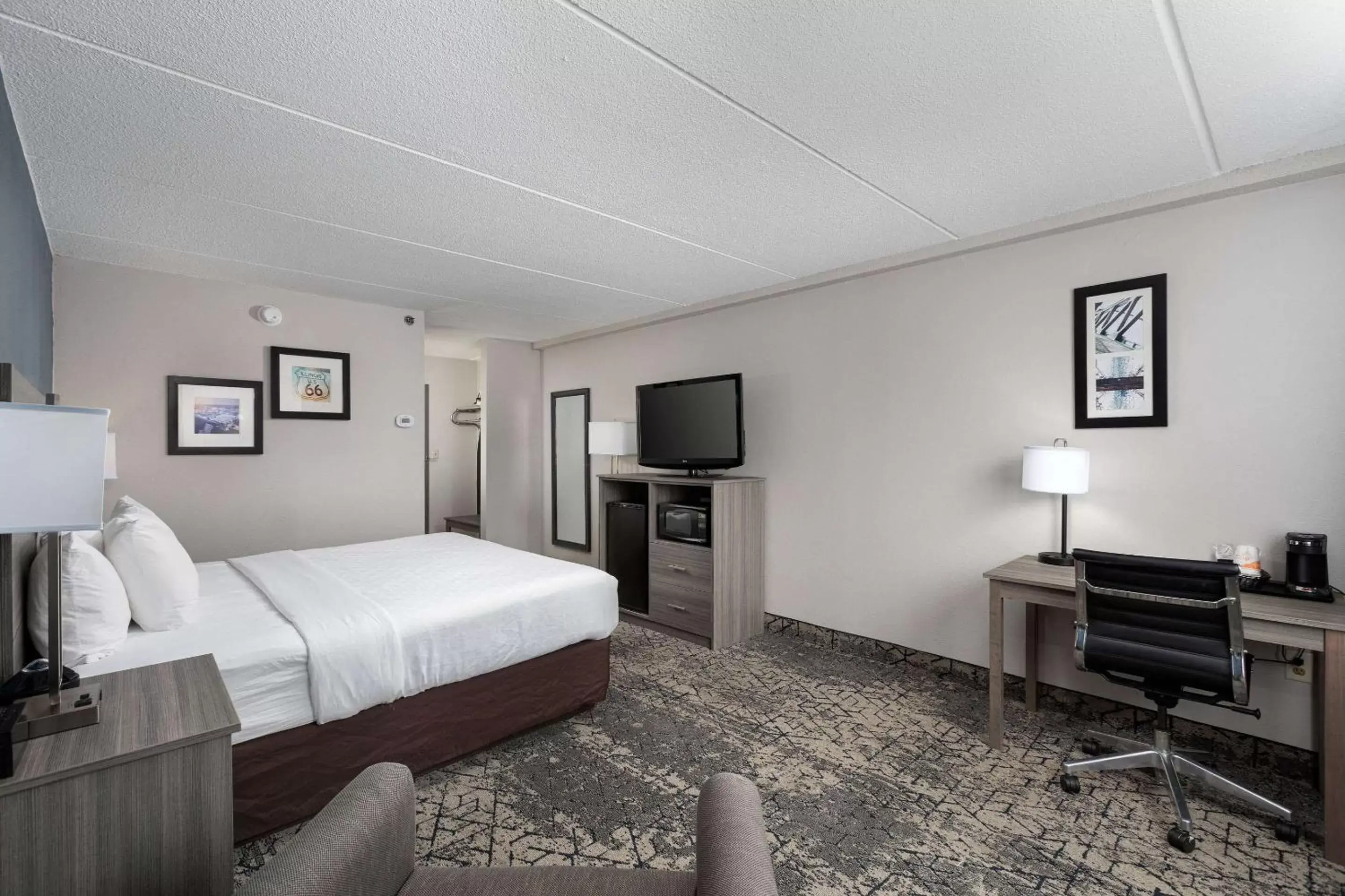 Bedroom, TV/Entertainment Center in Clarion Hotel and Conference Center - Joliet