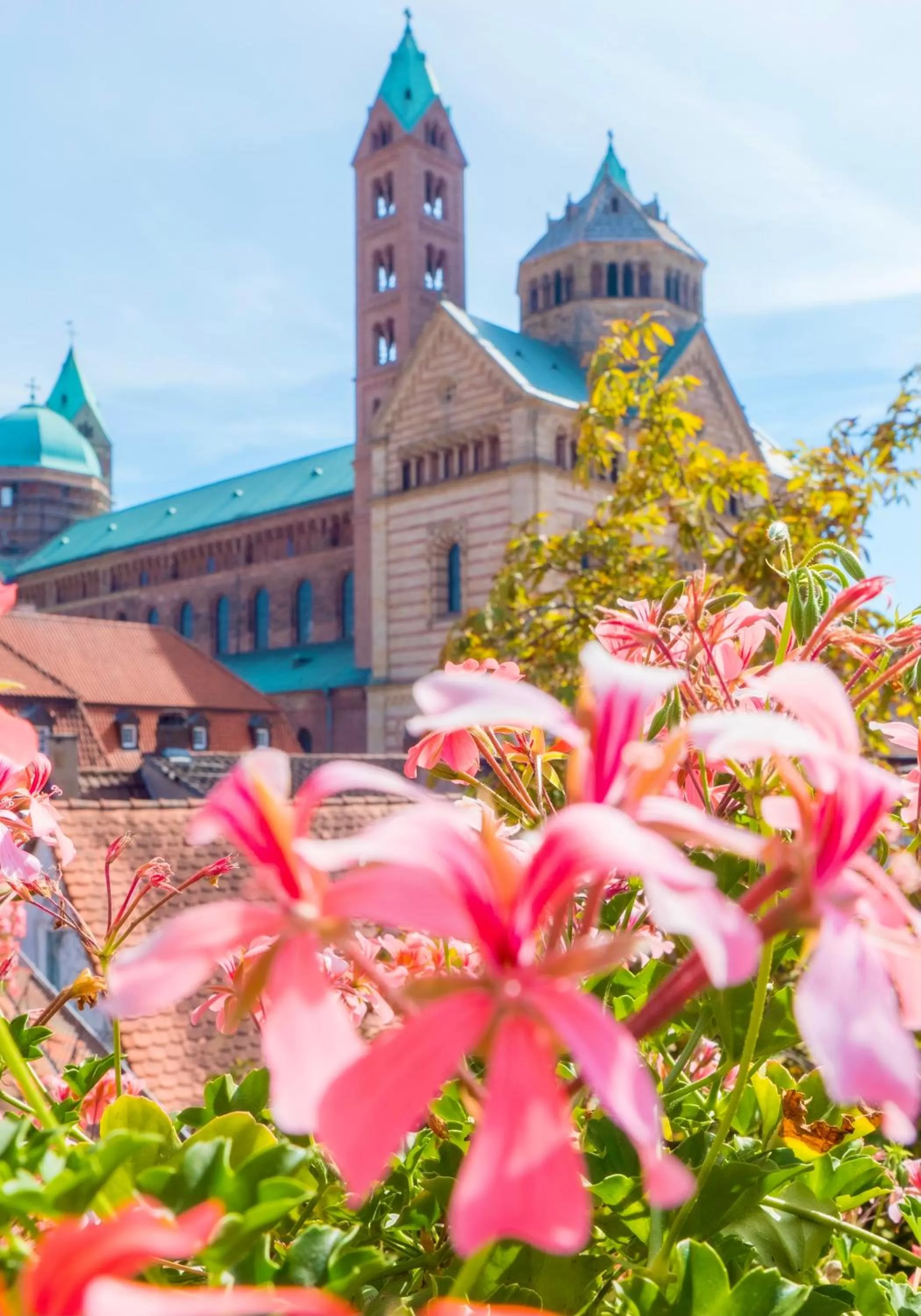 View (from property/room) in Hotel Domhof