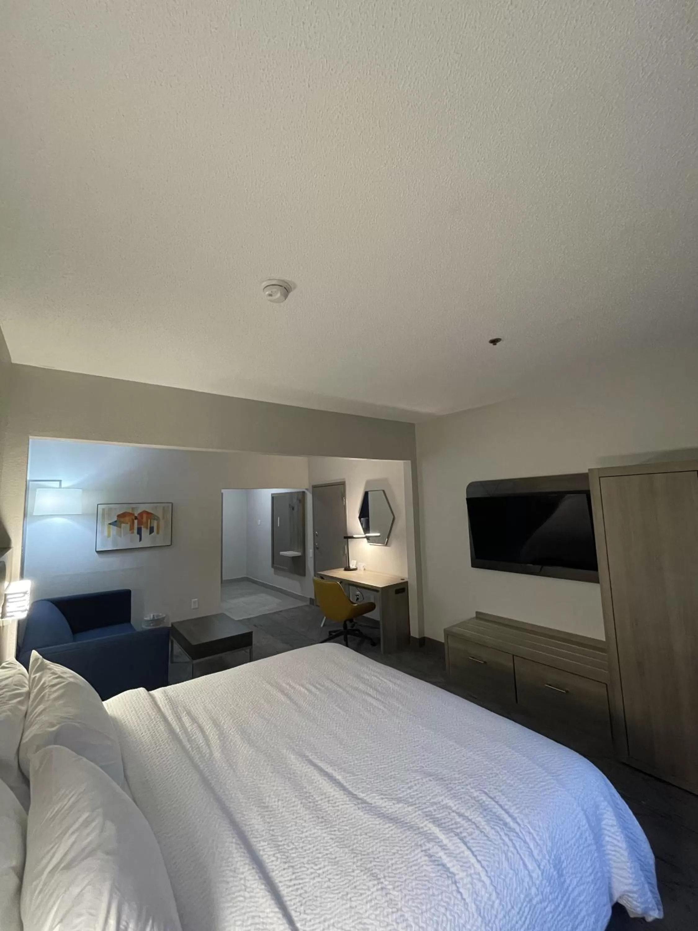 King Room - Non-Smoking in Holiday Inn Express Hotel & Suites Hiawassee, an IHG Hotel