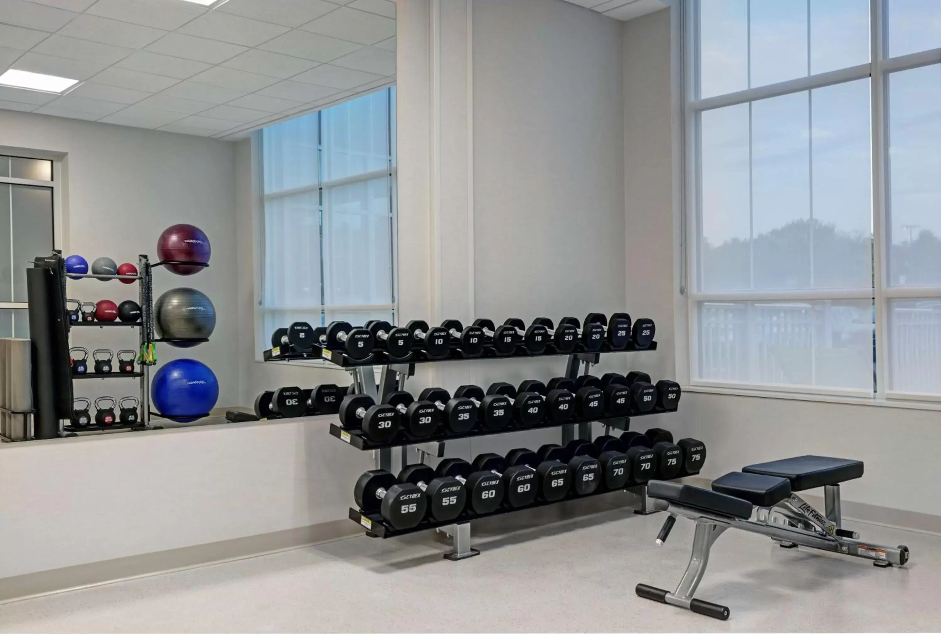Fitness centre/facilities, Fitness Center/Facilities in Hilton Garden Inn Manassas