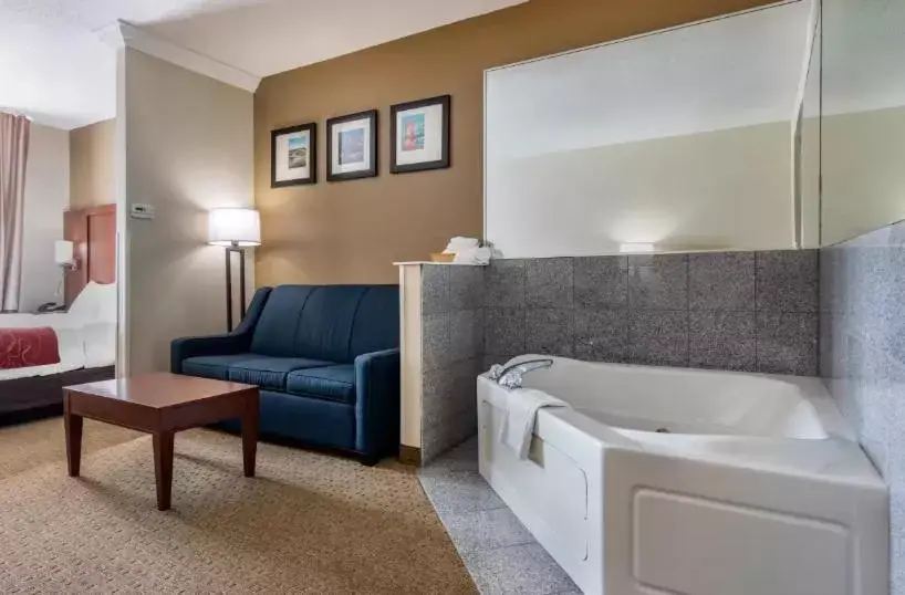 King Suite with Whirlpool Bath - Non-Smoking in Comfort Suites Cincinnati Airport