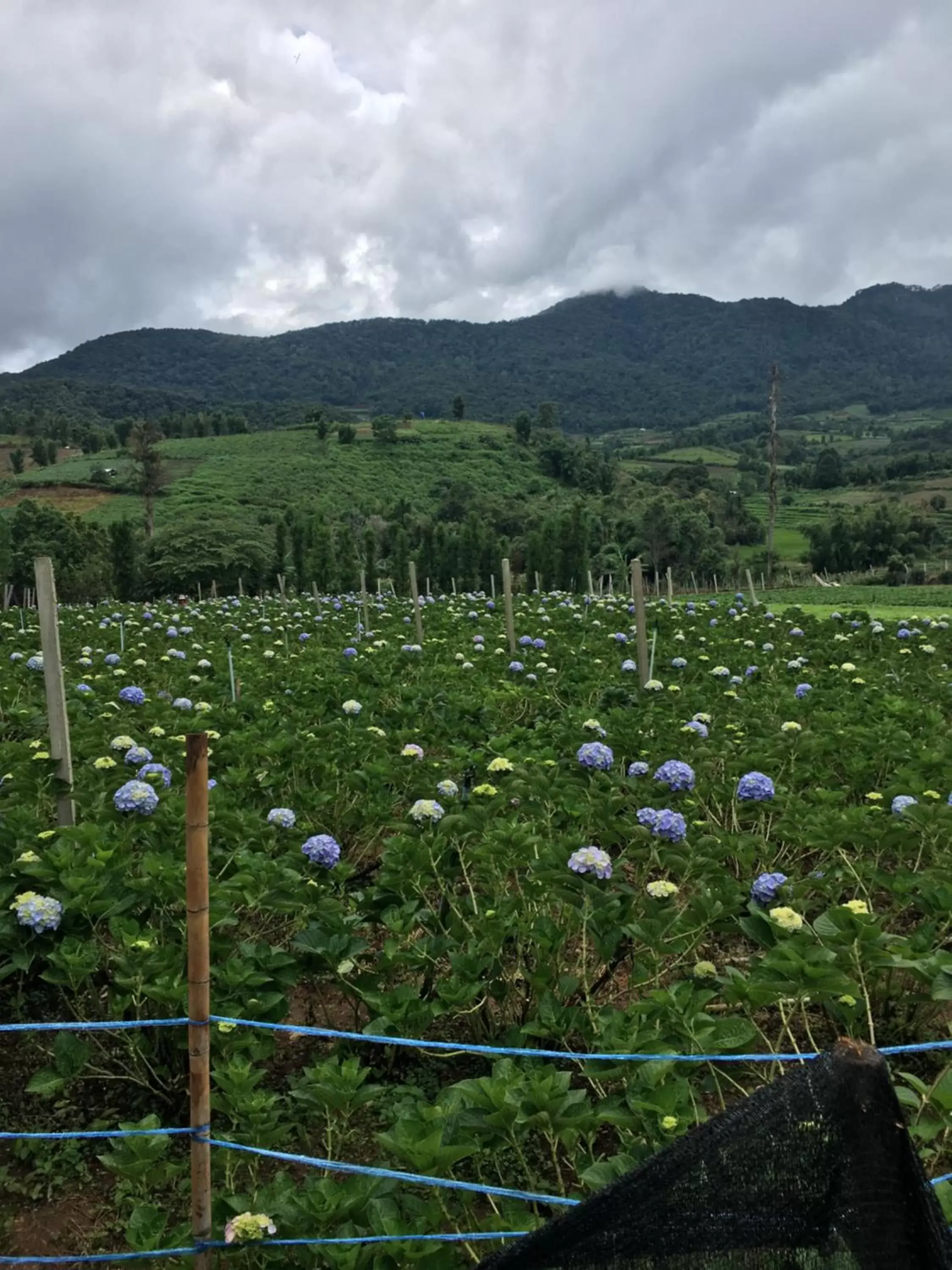 Natural Landscape in Nok Chan Mee Na