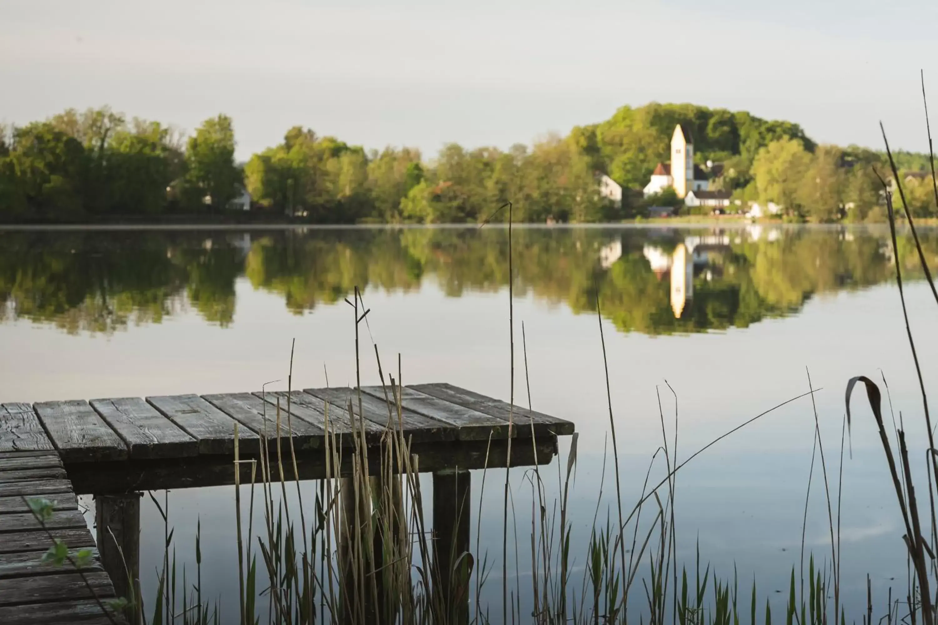 View (from property/room), Lake View in Sopherl am See