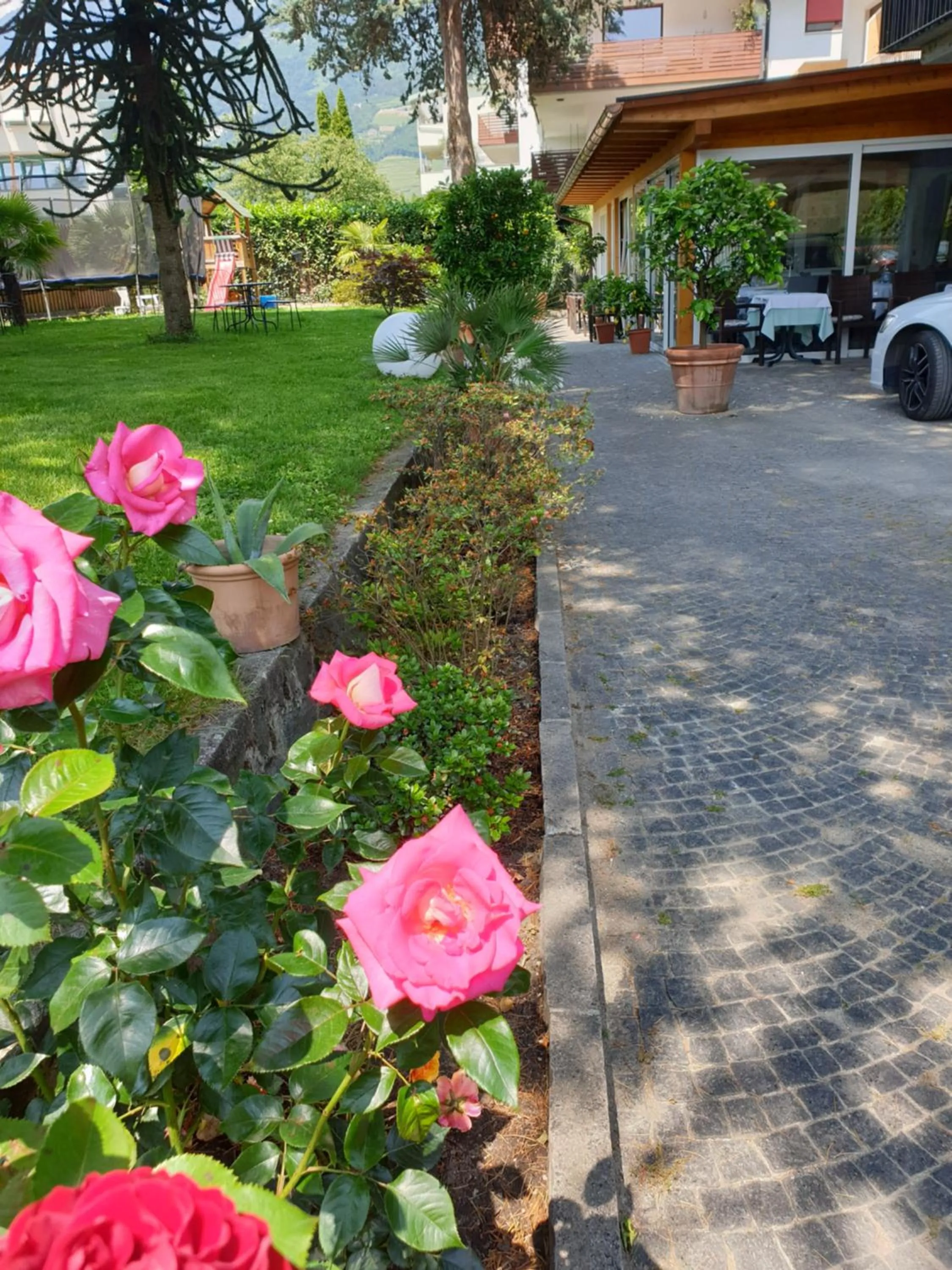 Garden in Hotel Jasmin