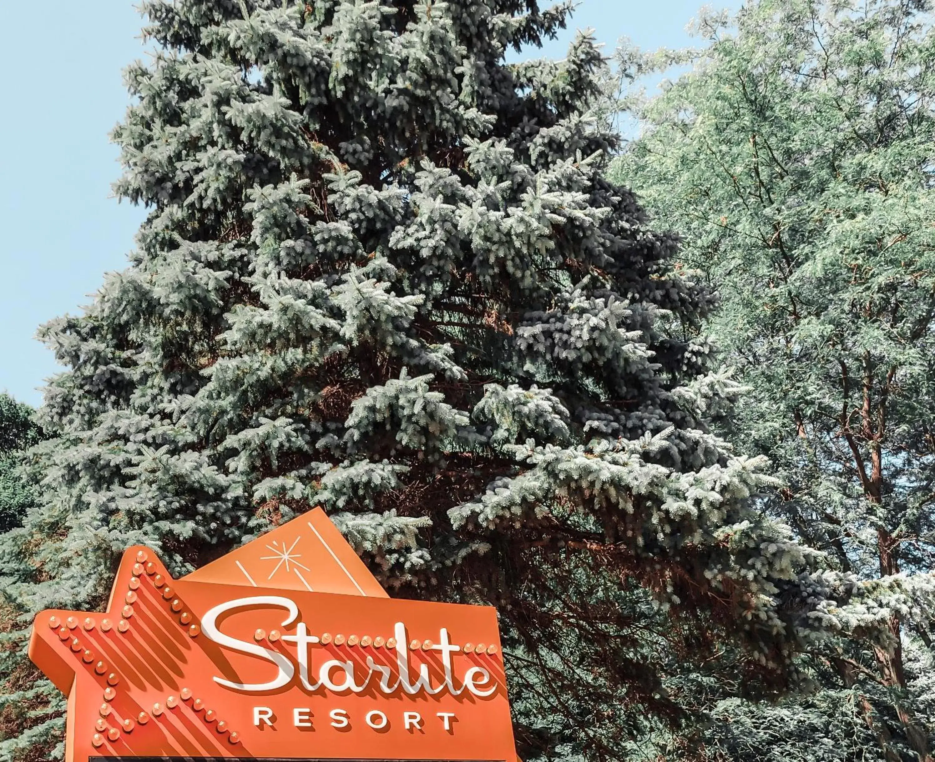 Property logo or sign in Starlite Resort