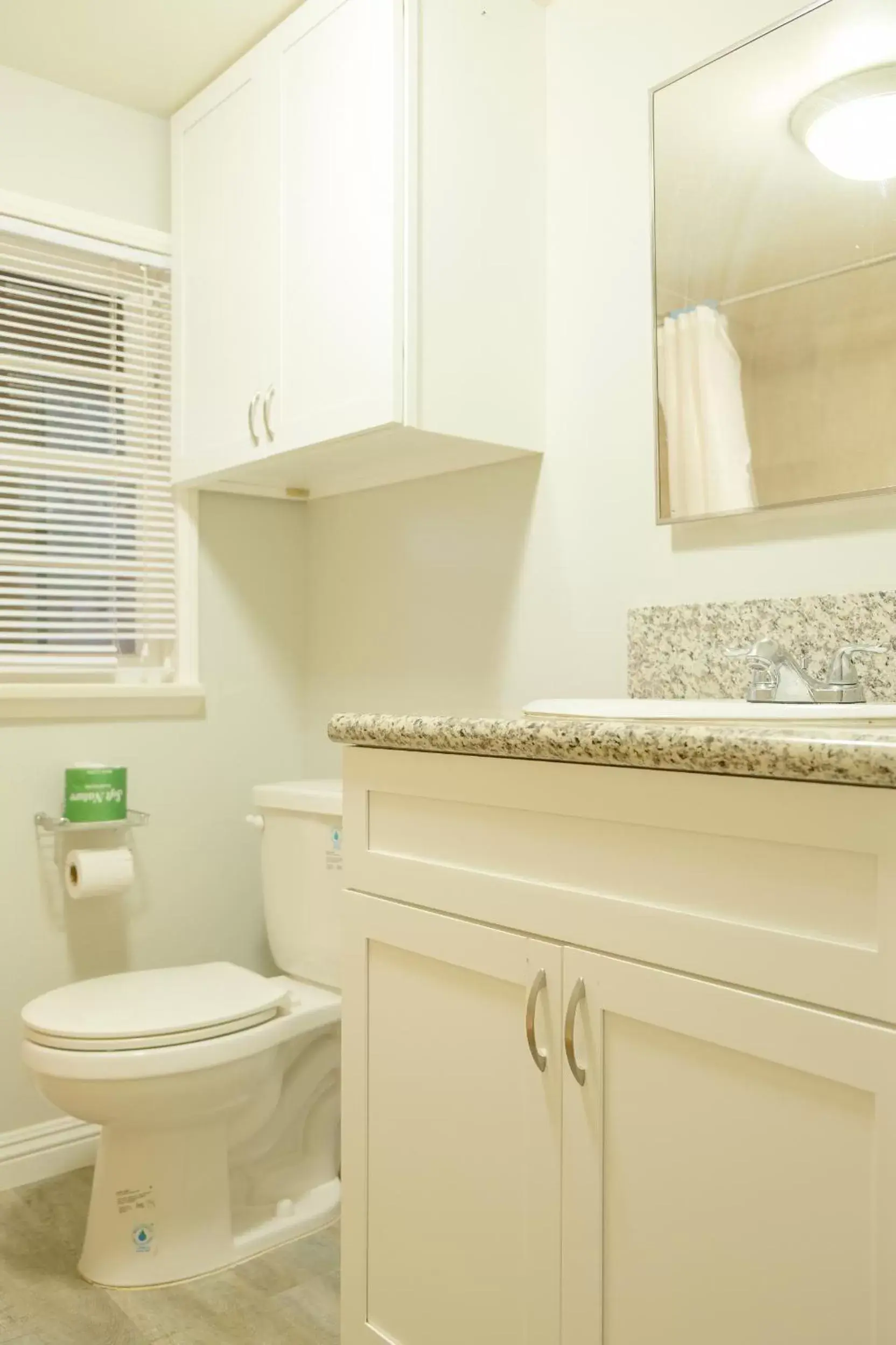 Toilet, Bathroom in Sherwood Arms Motel