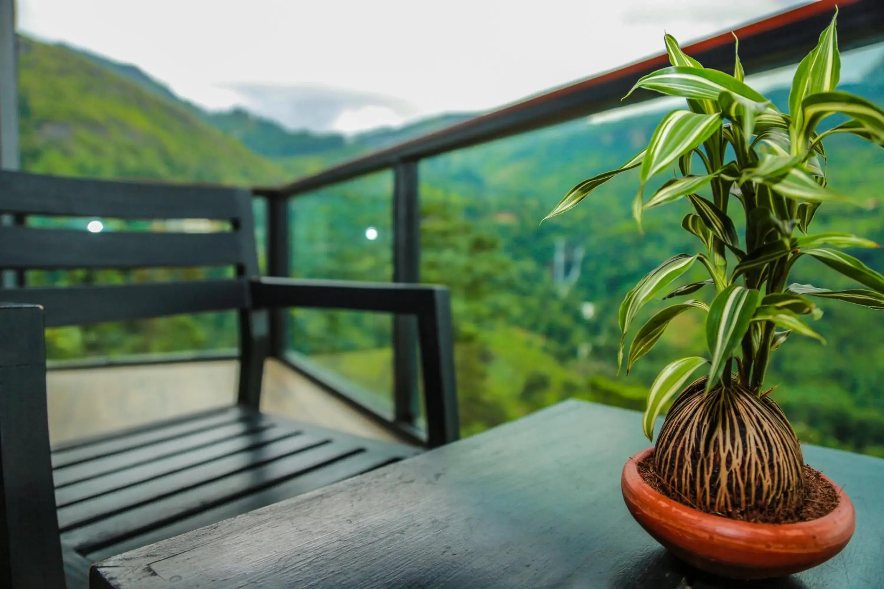 Balcony/Terrace in Oak Ray Hotel - Tea Bush Ramboda