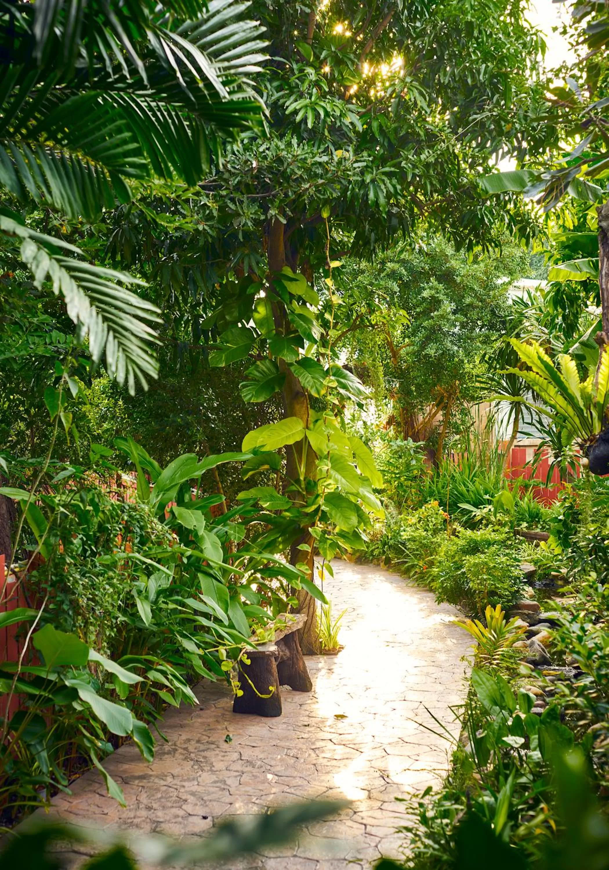 Garden in Ruenkanok Thaihouse Resort