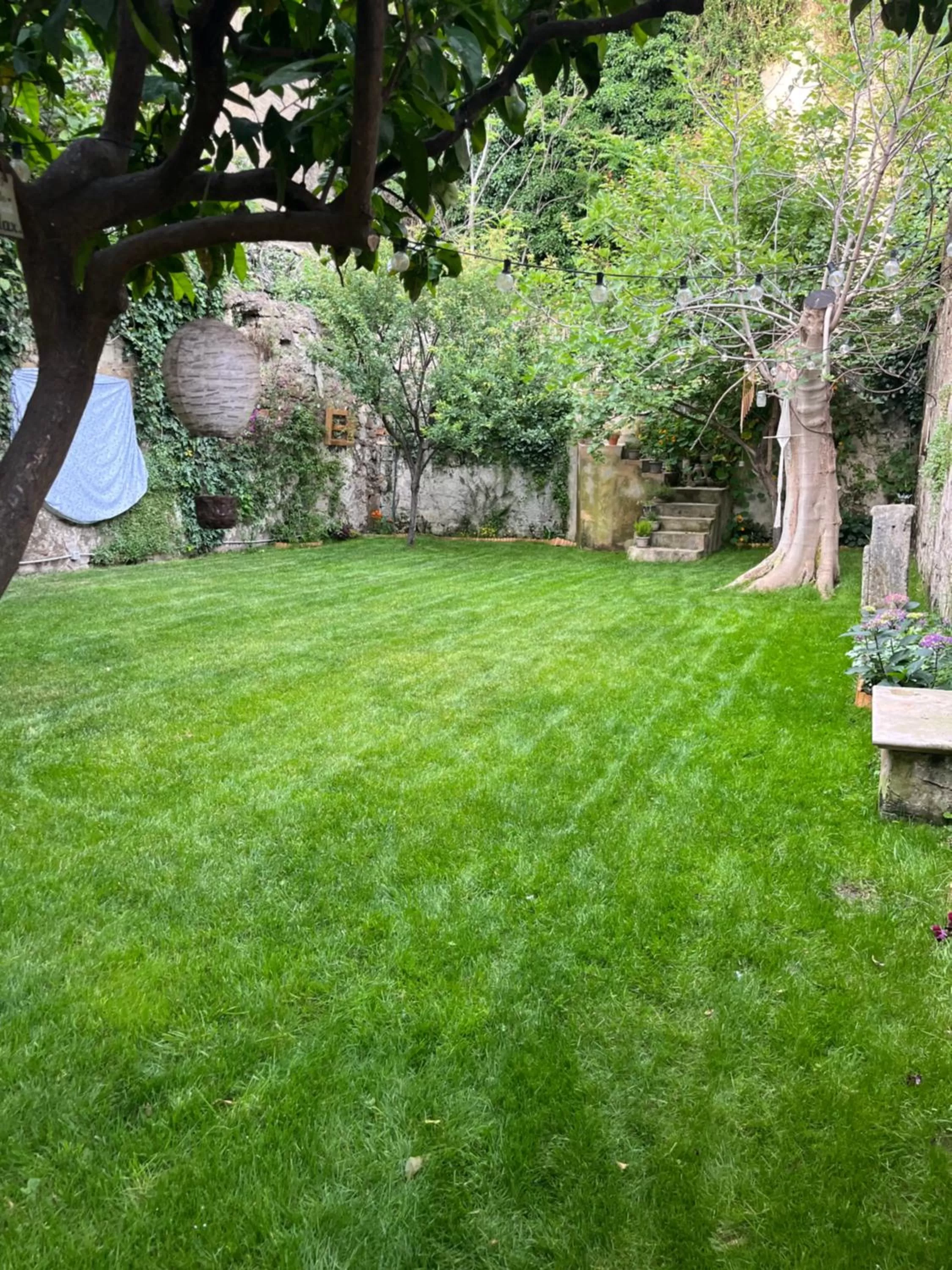 Garden in Casa Vayu - Rooms & Garden