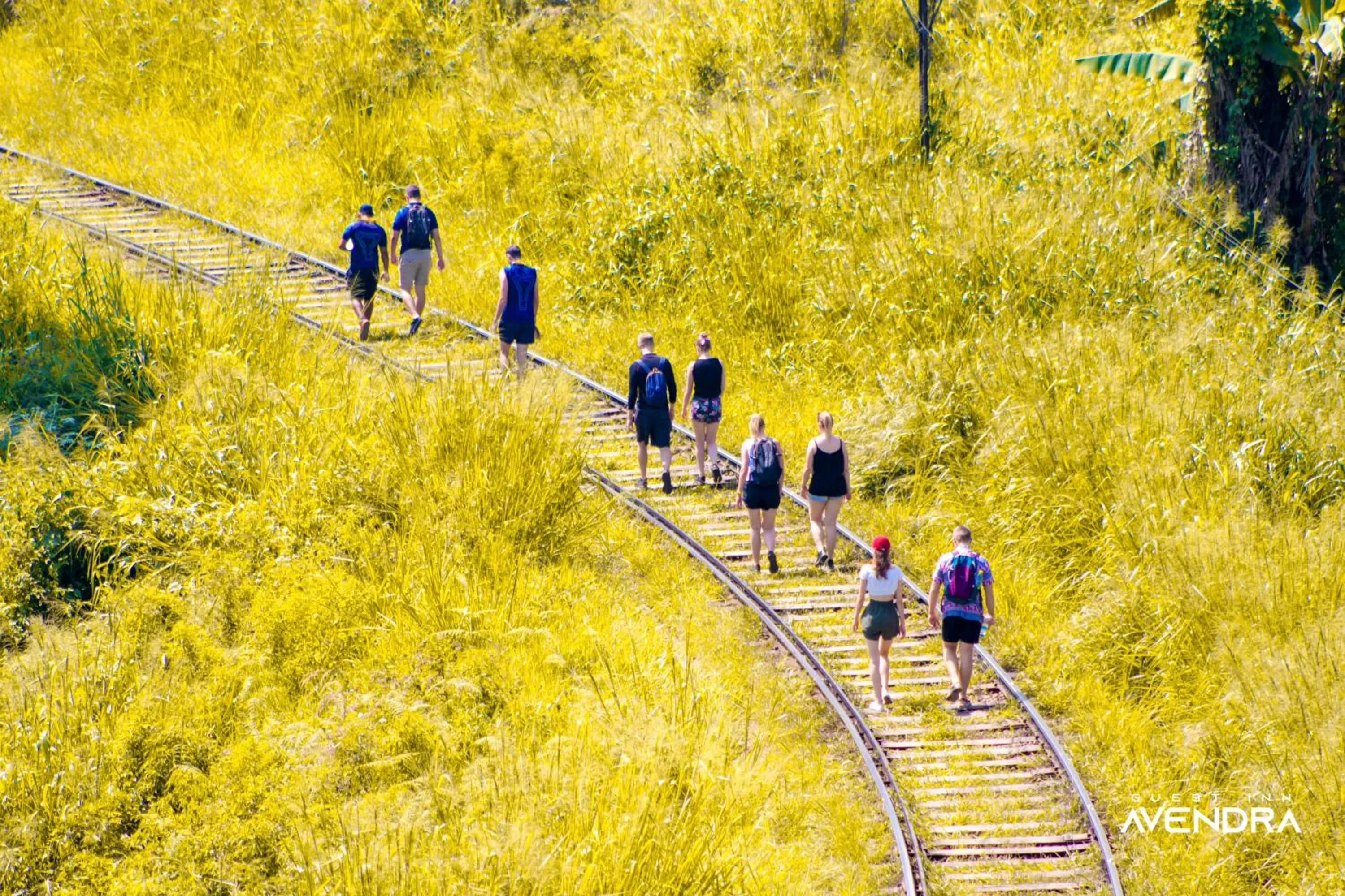 People in Guest Inn Avendra