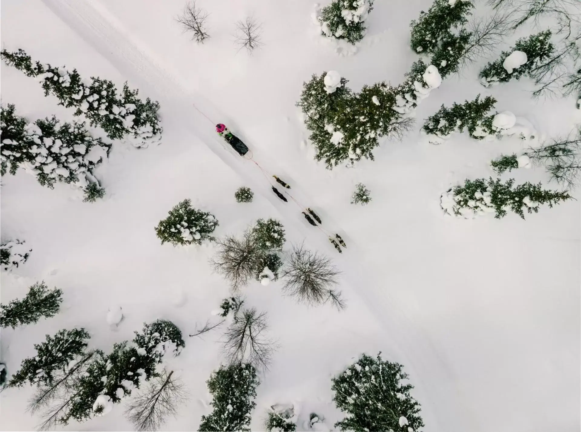 Natural landscape in Camp Ripan