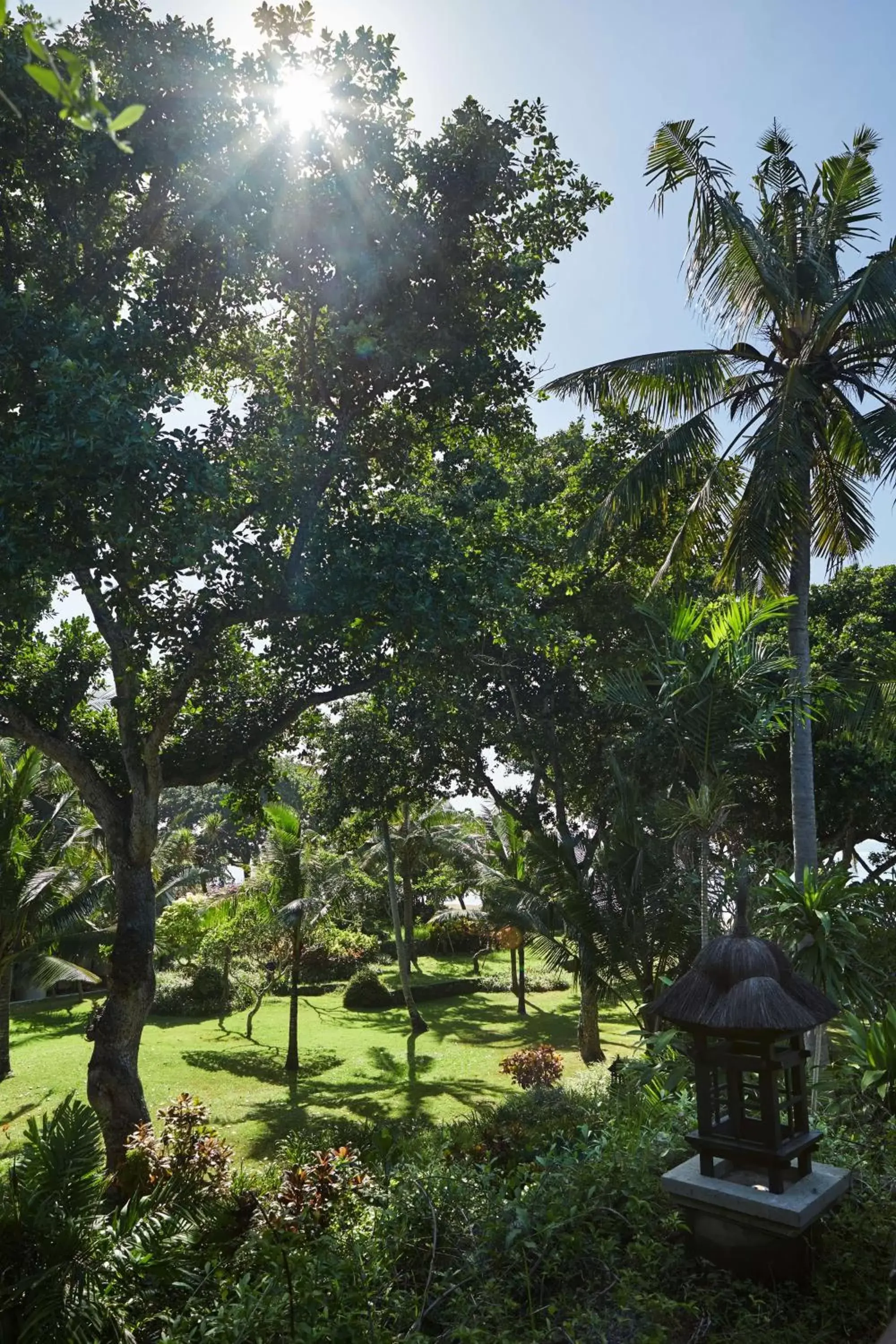 Photo of the whole room, Garden in Hyatt Regency Bali