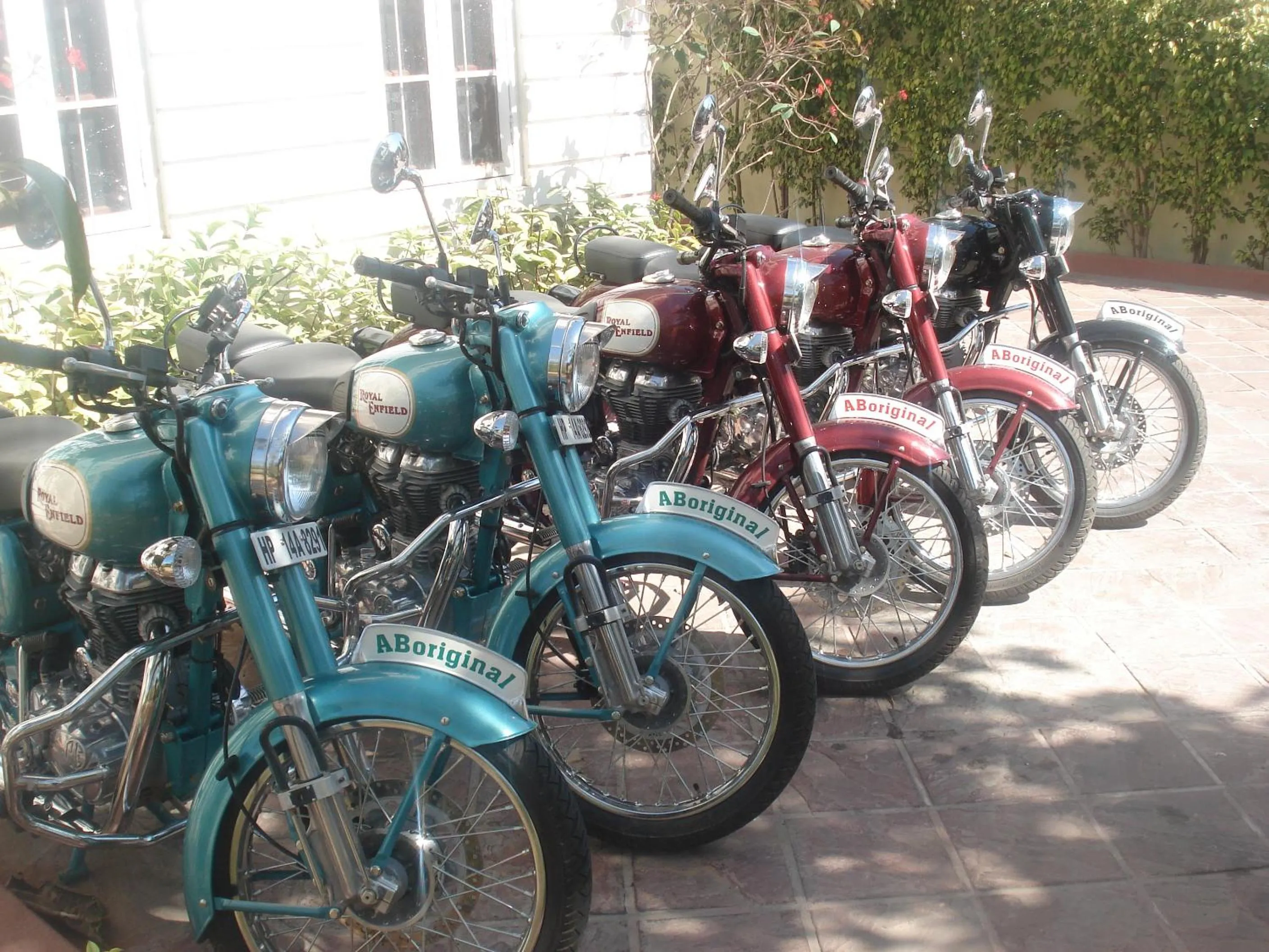 Garden in Anuraag Villa