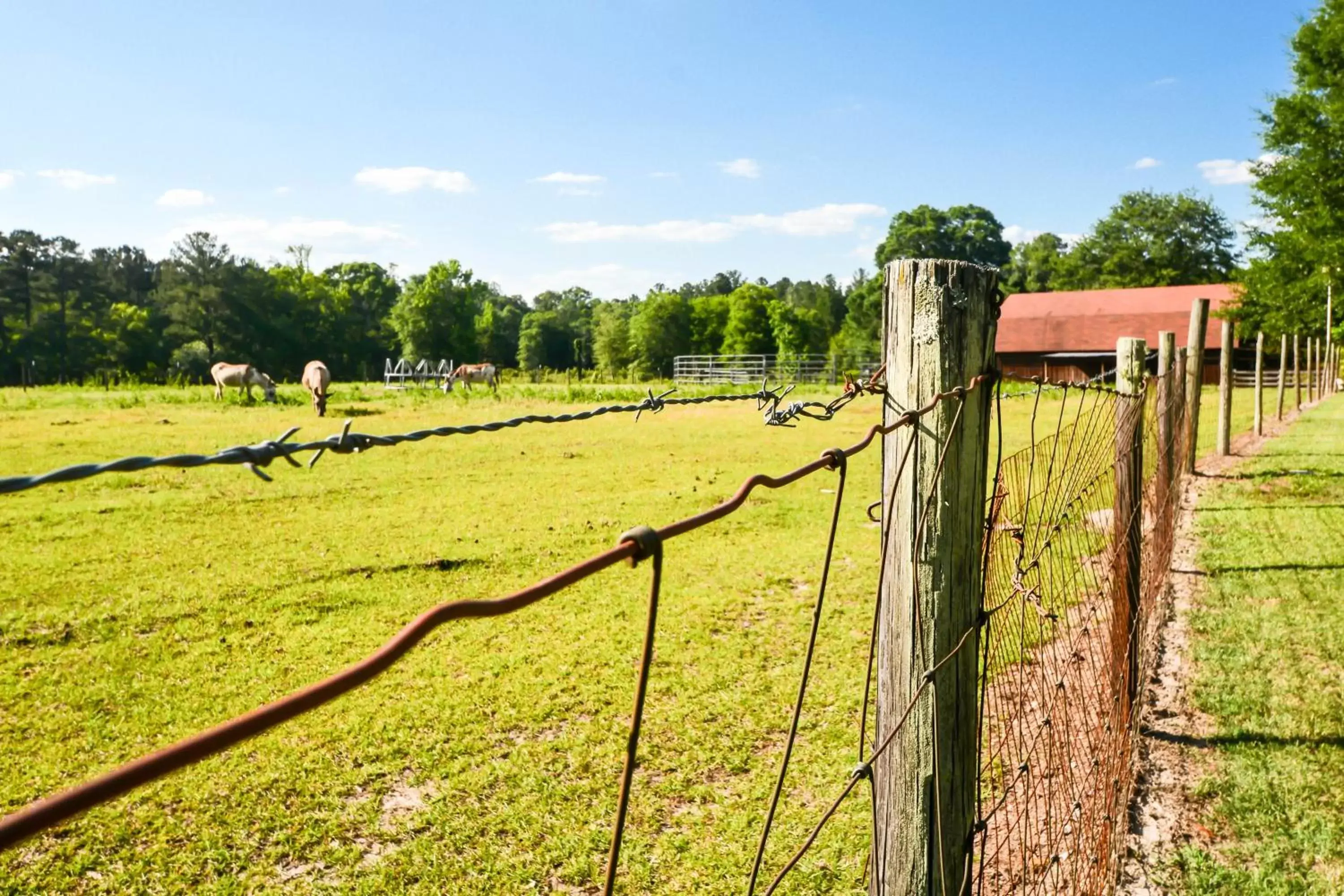 Dublin Farm