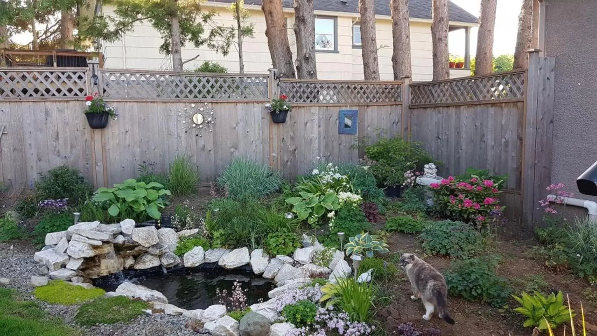 Garden in Campbell Cottage B&B