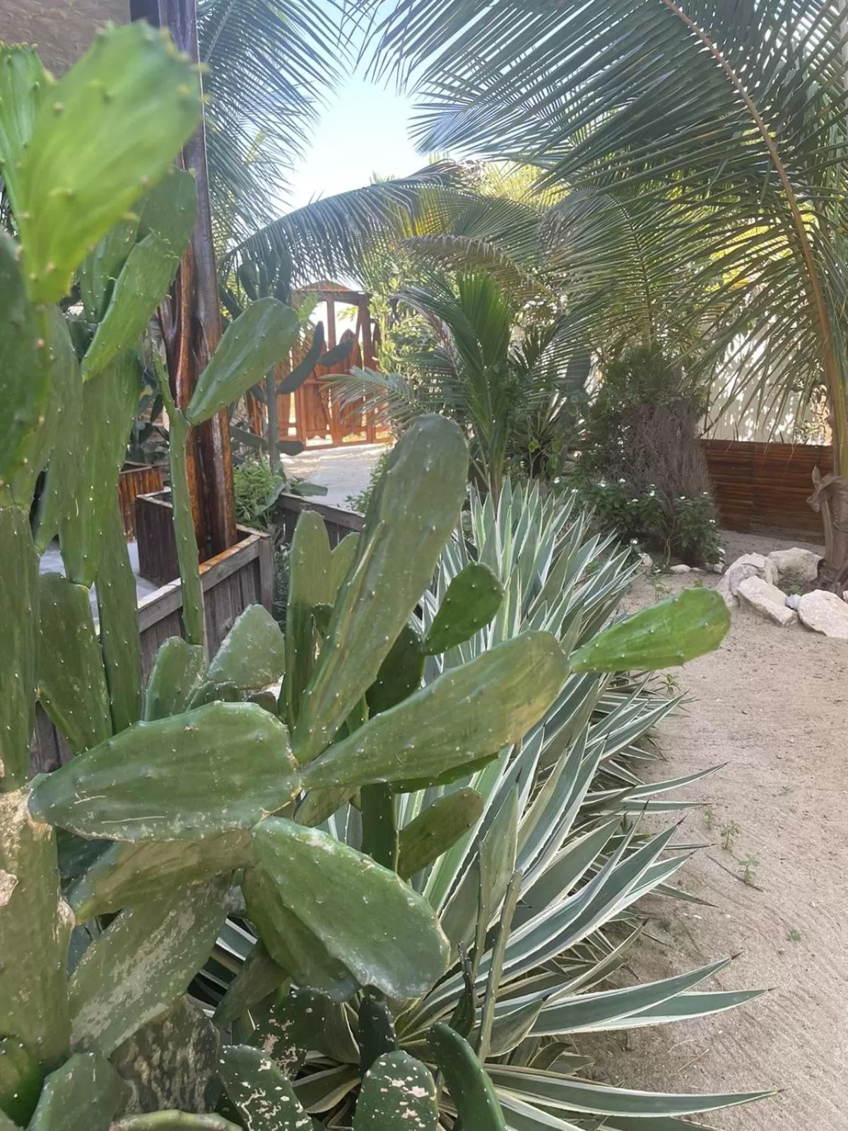 Garden in Un Dia Boutique Resort