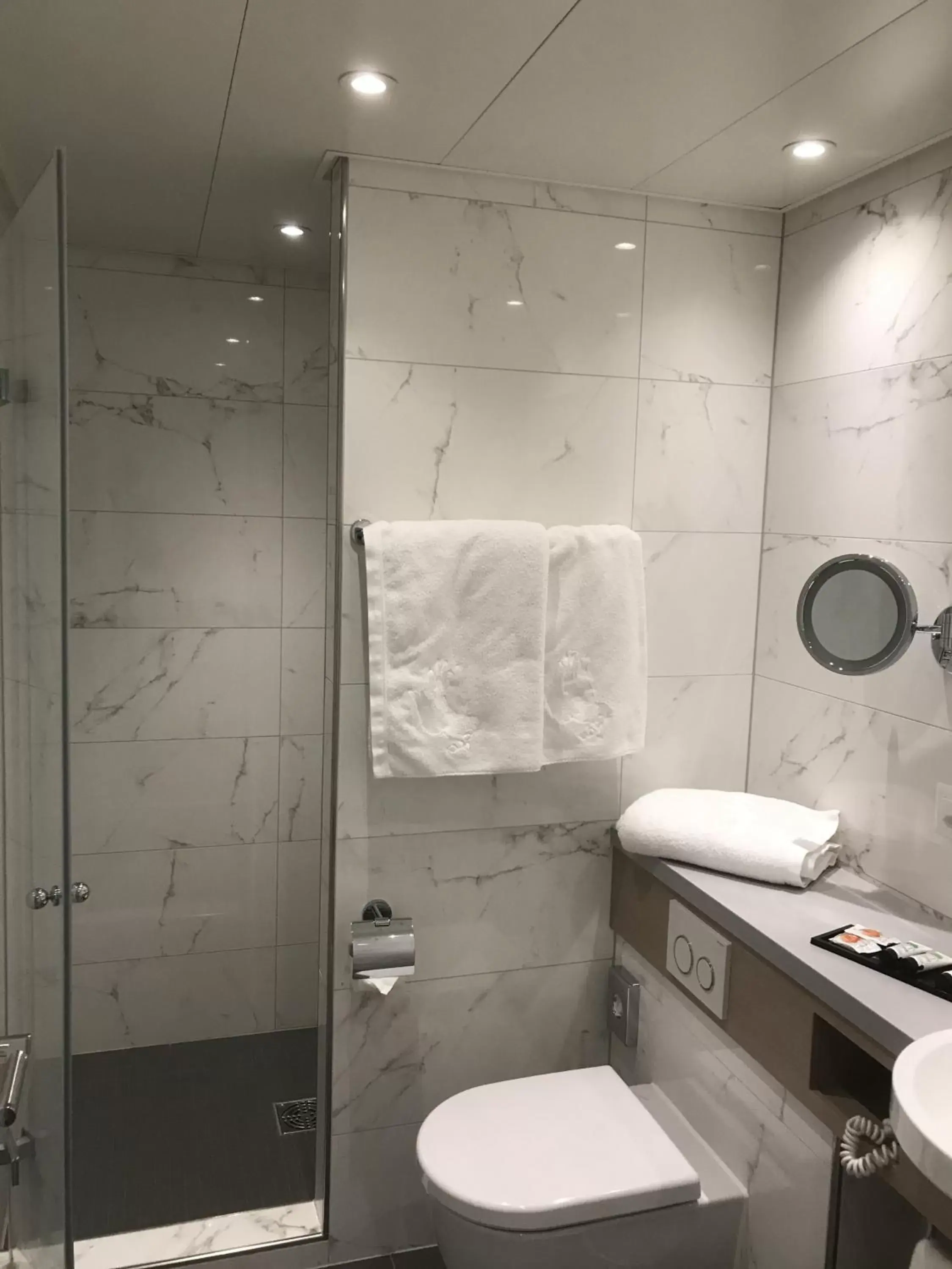 Bathroom in Hôtel de la Paix Lausanne