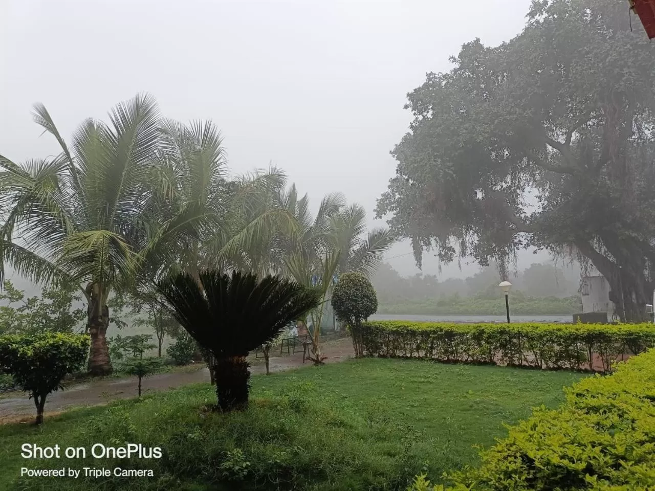 Balcony/Terrace in Hotel Nisarg Lodging And Restaurant