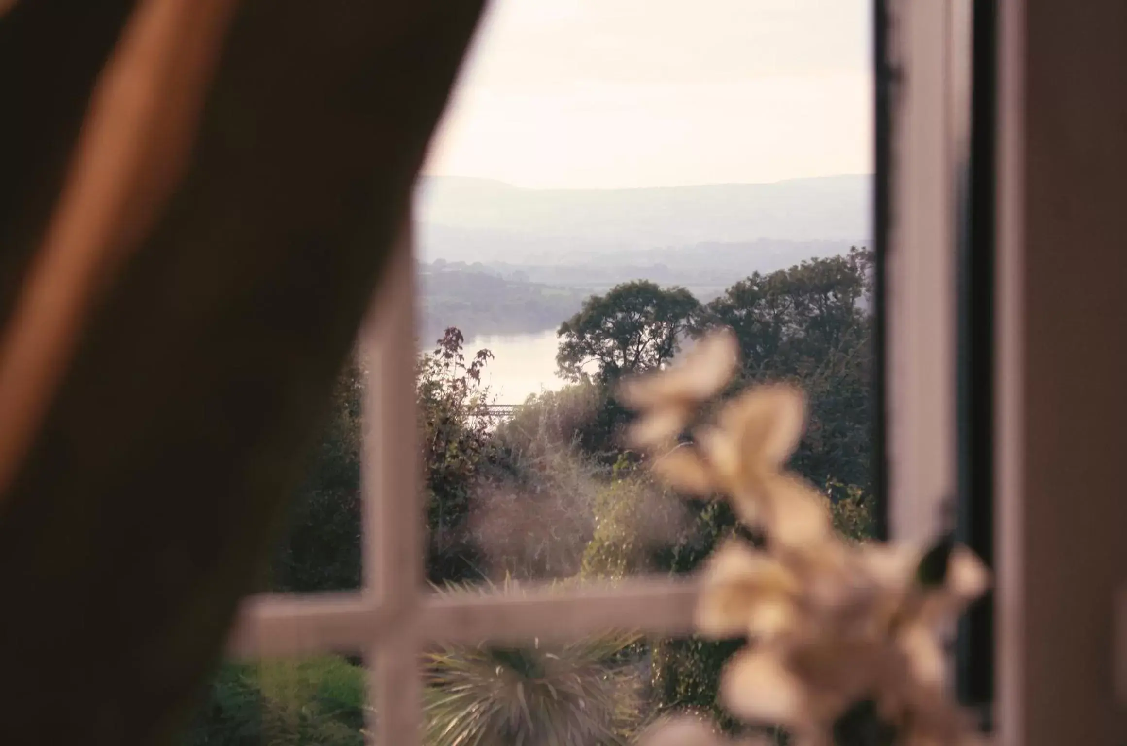 Garden view, Sea View in Beaufort House Accomodation